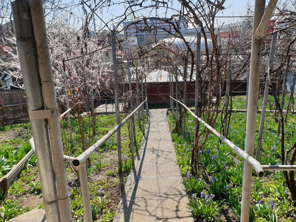 Vand casa bătrânesca — fotografia 4