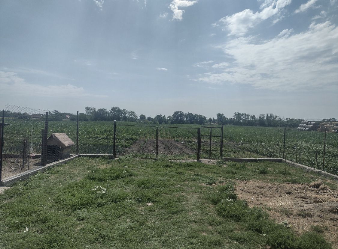 Vand urgent Casa (Boghis SM) sau schimb cu aprtament — fotografia 4