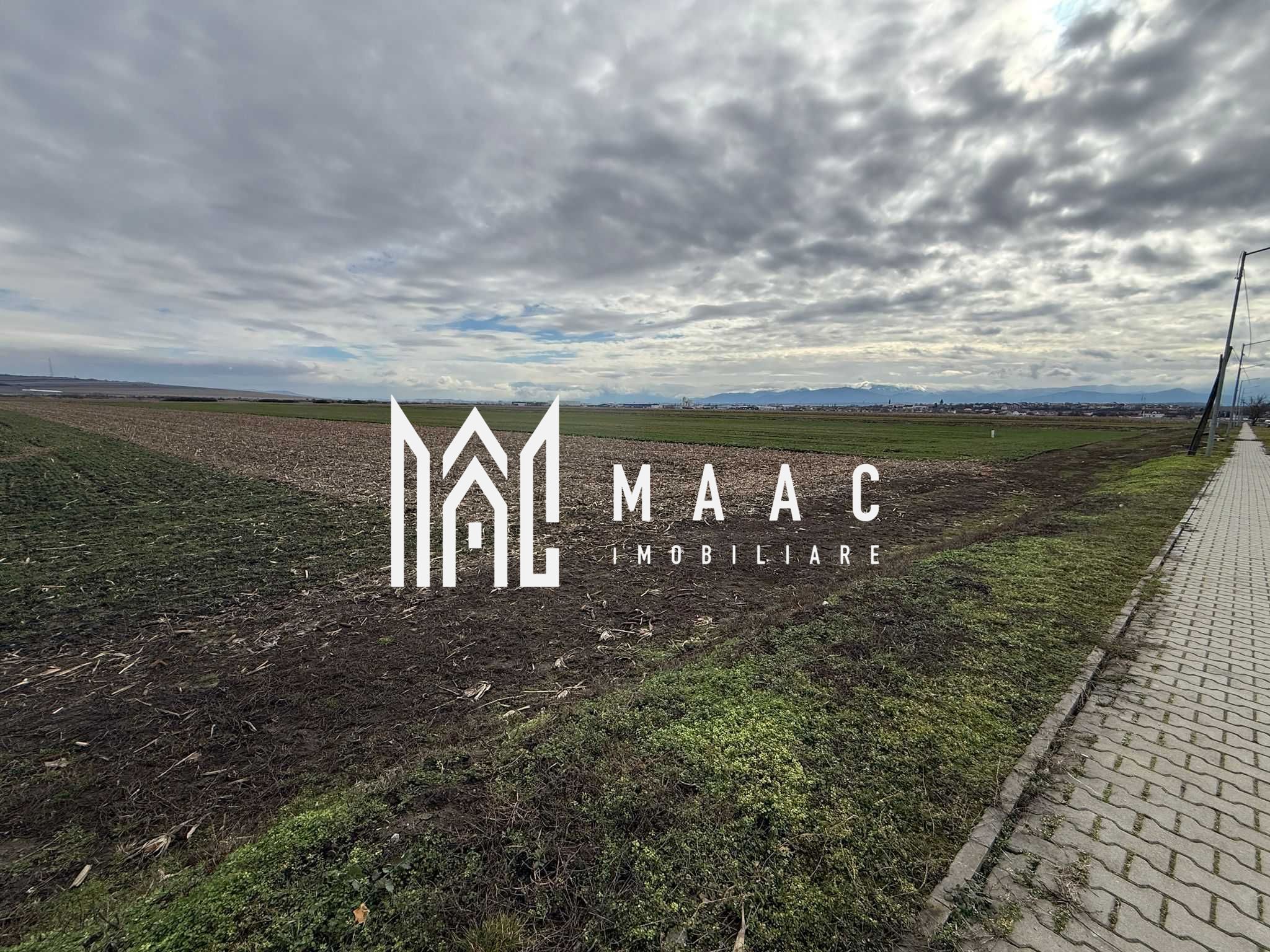 Teren intravilan | 9600 mp | Șură Mică | Utilități | Drum Asfaltat