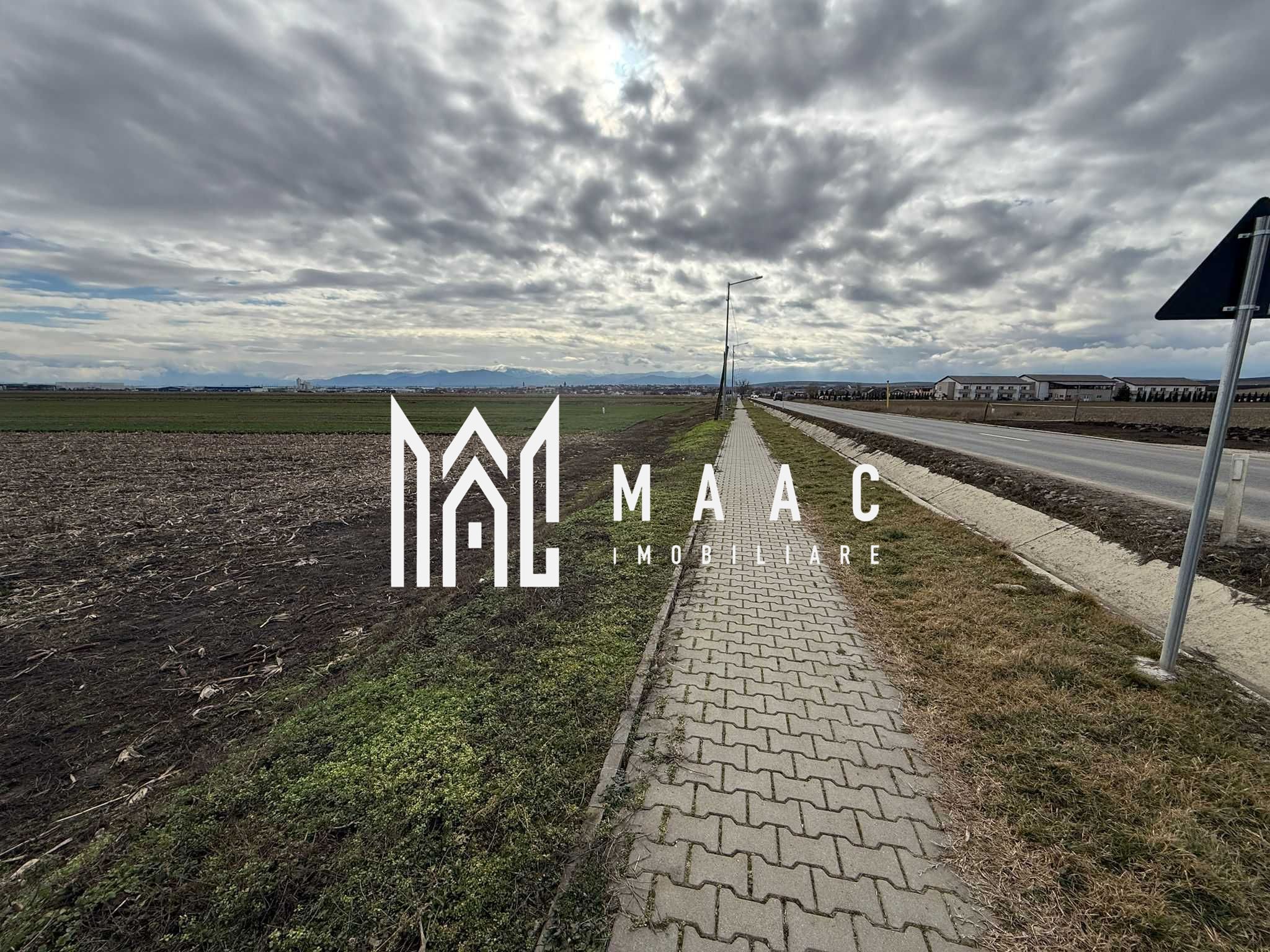 Teren intravilan | 9600 mp | Șură Mică | Utilități | Drum Asfaltat — fotografia 3