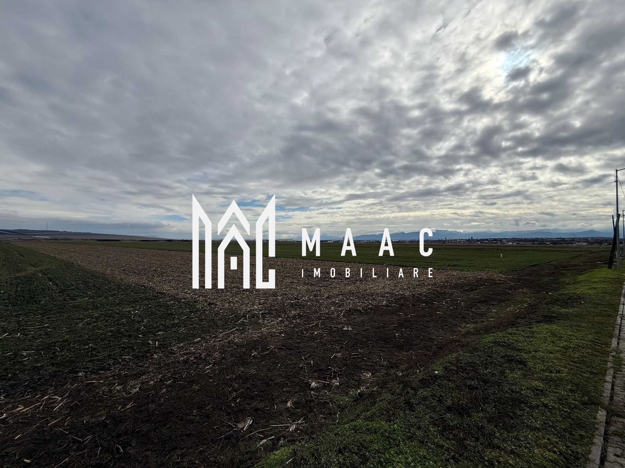 Teren intravilan | 9600 mp | Șură Mică | Utilități | Drum Asfaltat — fotografia 4
