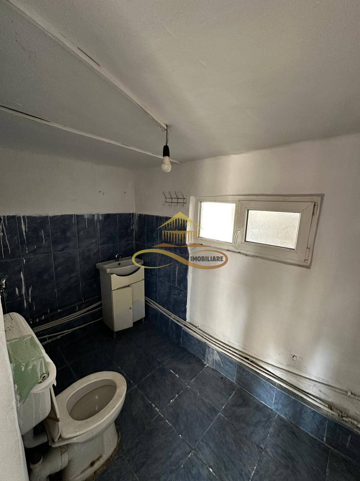 Casa batraneasca cu 800 mp teren de vanzare in Tache / Bacau — fotografia 16