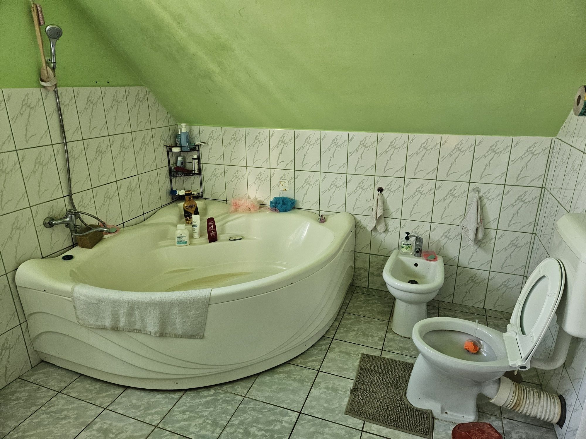 Casă 2 familii / firmă + livadă Satu Mare - Cionchești — fotografia 3