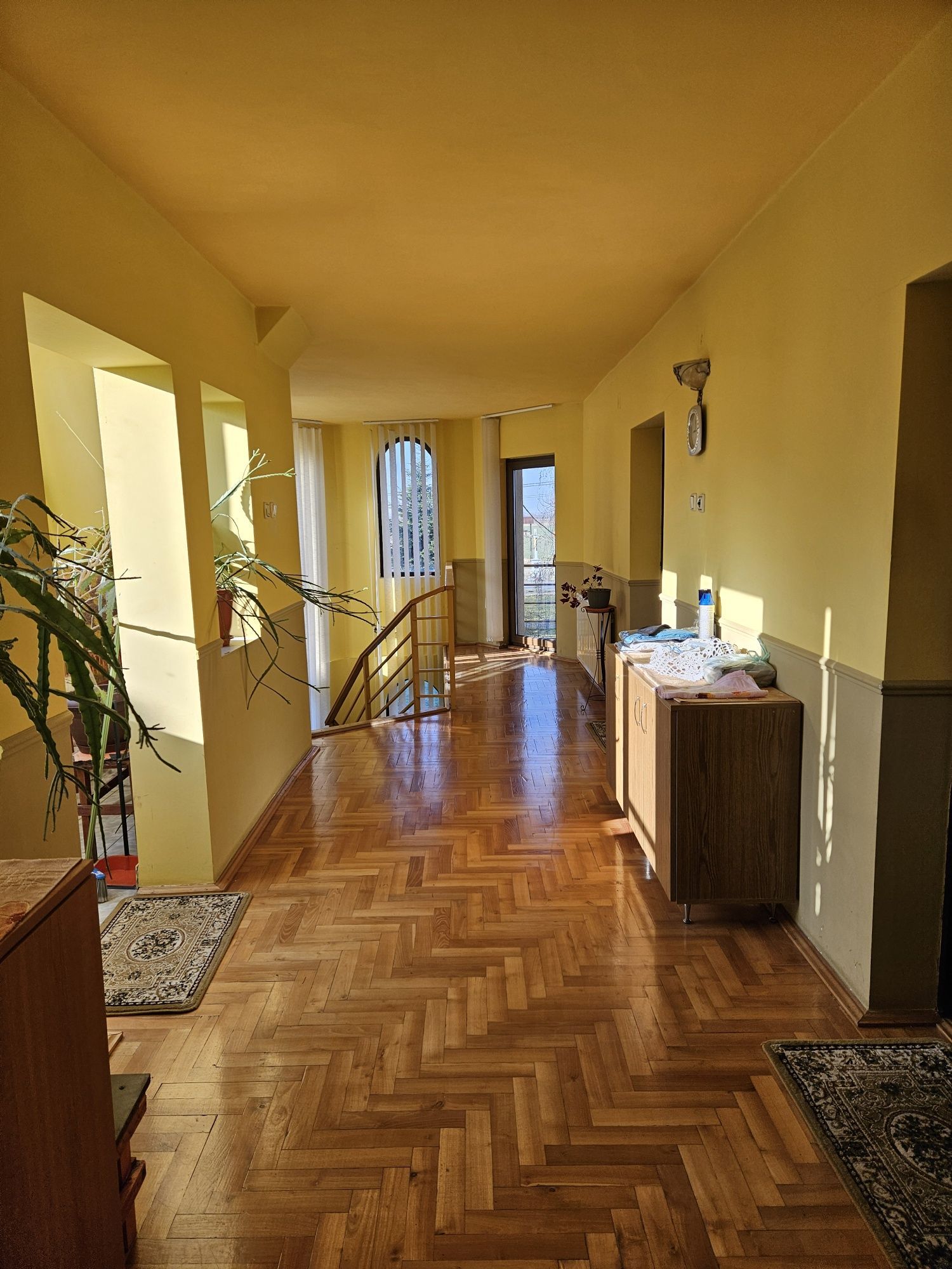 Casă 2 familii / firmă + livadă Satu Mare - Cionchești — fotografia 5