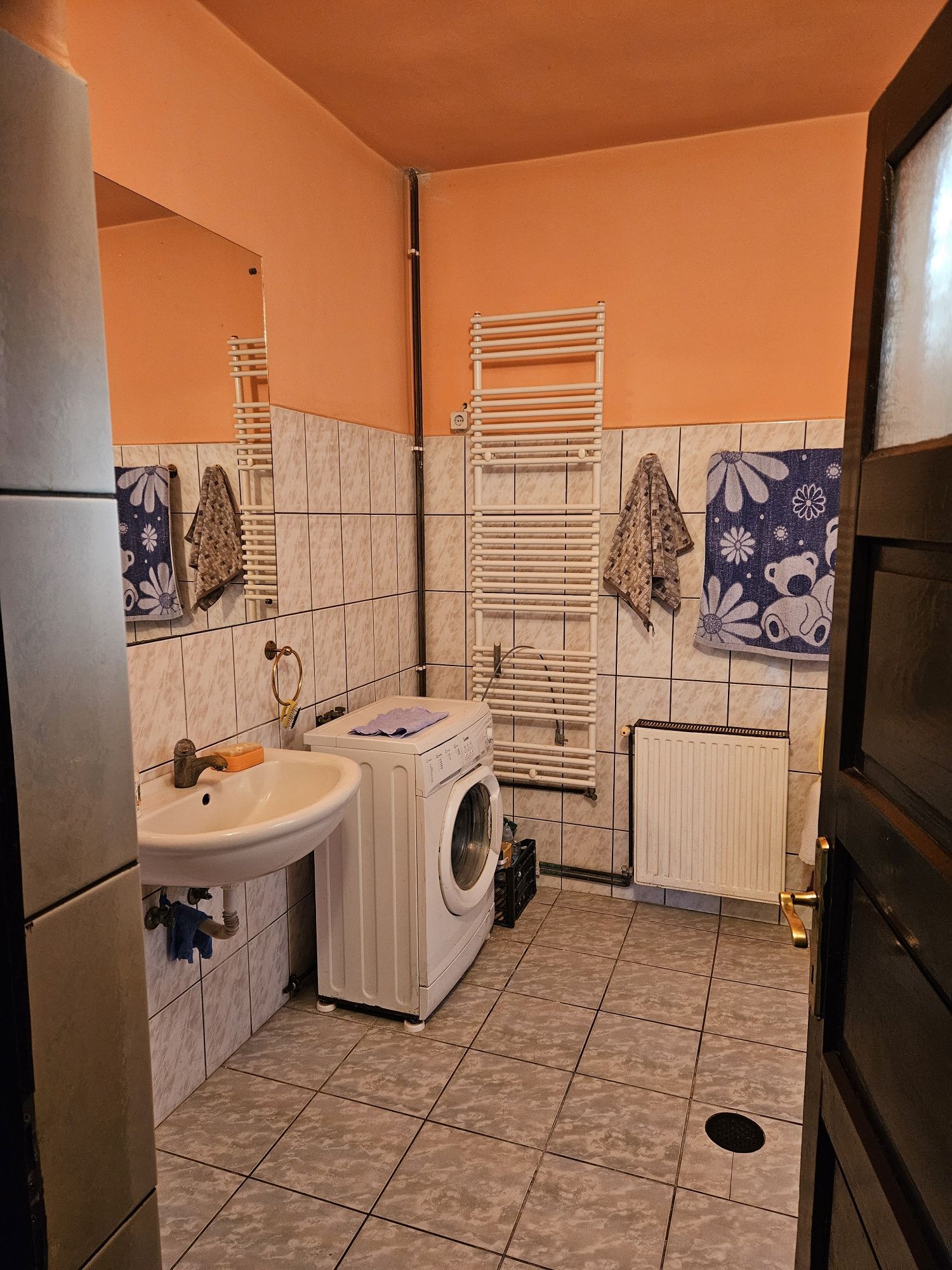 Casă 2 familii / firmă + livadă Satu Mare - Cionchești — fotografia 6
