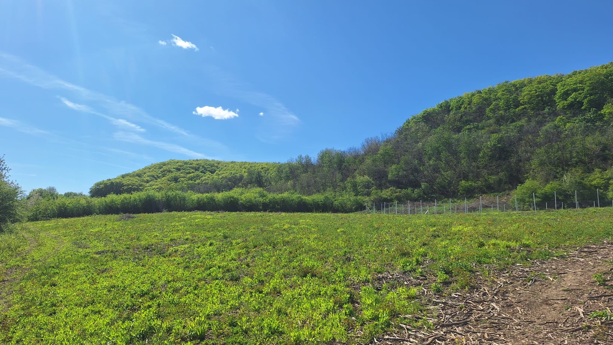 Teren zona Cristian Sibiu 2 fronturi 548mp 10.000 Euro — fotografia 3