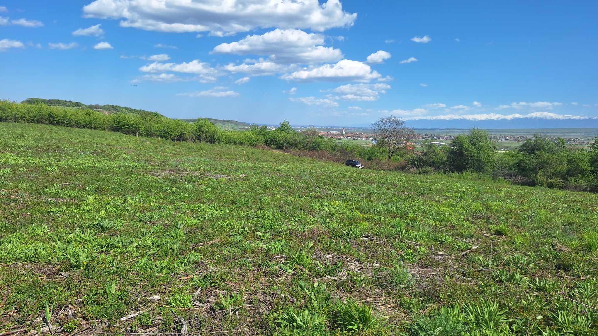 Teren zona Cristian Sibiu 2 fronturi 548mp 10.000 Euro — fotografia 5