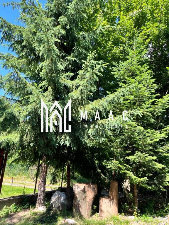 Pensiune Turistică | 360MPU | Curte | Oportunitate Investiție | Porumbacu de Sus — fotografia 21