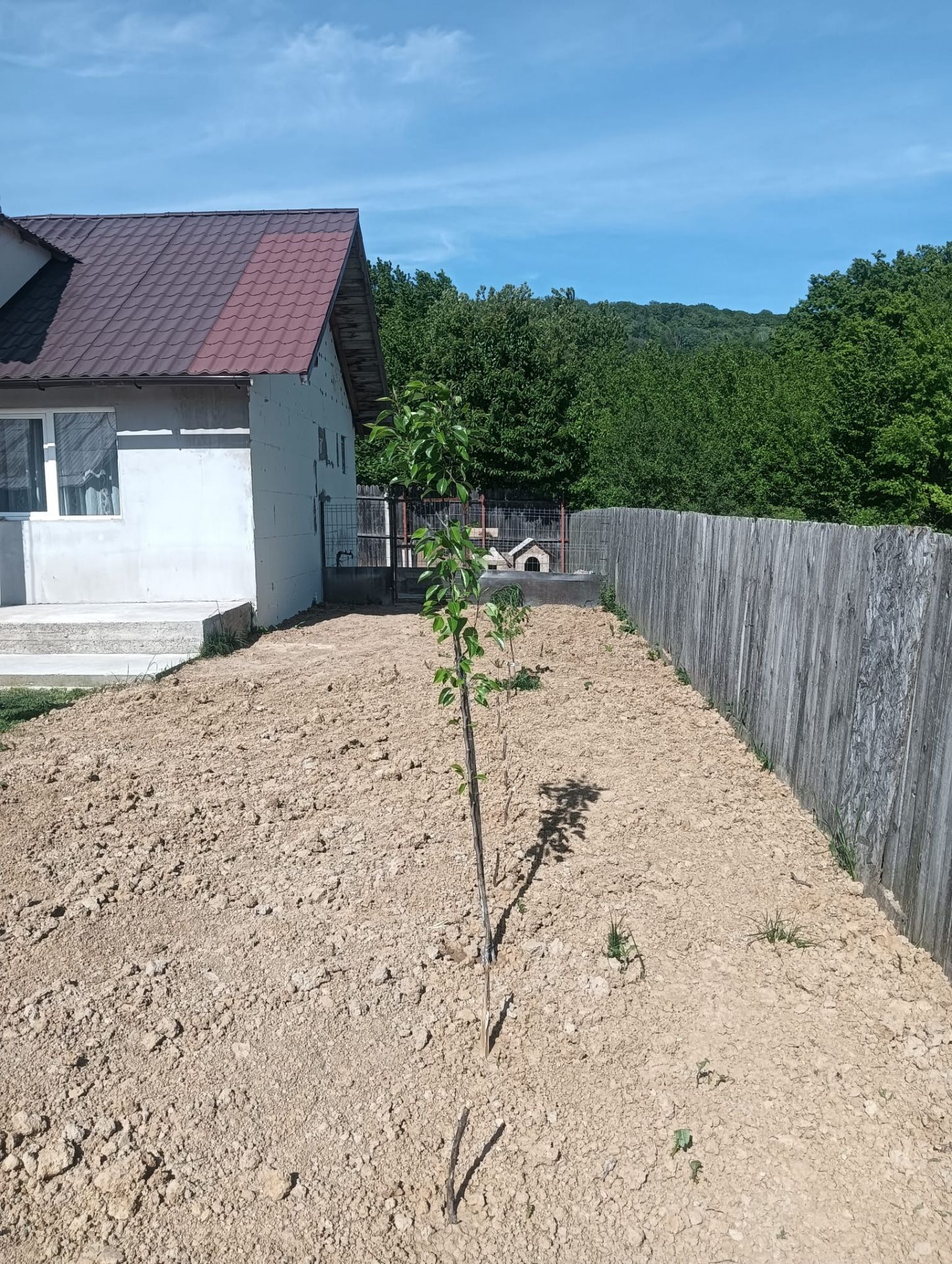 Casă PIETRĂRIE | 2 camere, 70 mp, 400 mp teren, loc de parcare — fotografia 3