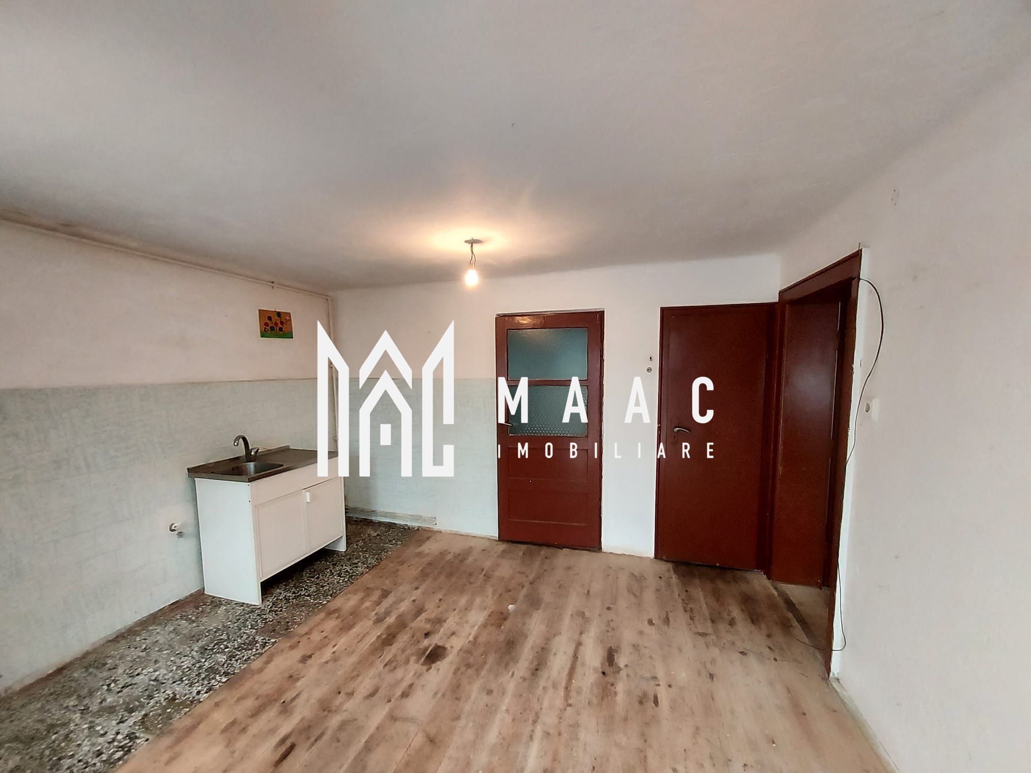 Casa 3 Camere | 100MPU | Teren 413MP | Terezian — fotografia 4