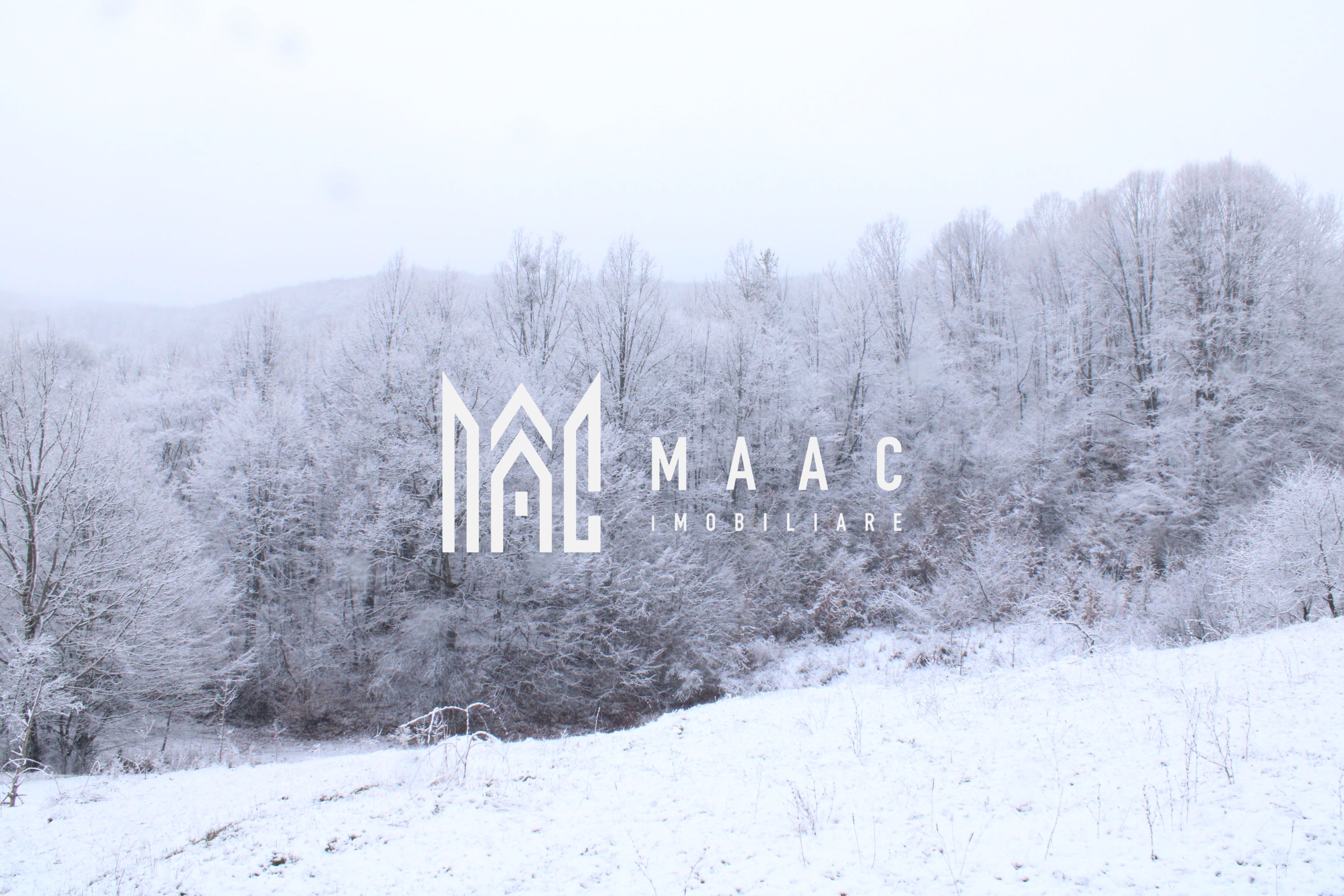 Teren de vanzare I izvor apă minerală  Dangești I 2 Hectare — fotografia 11