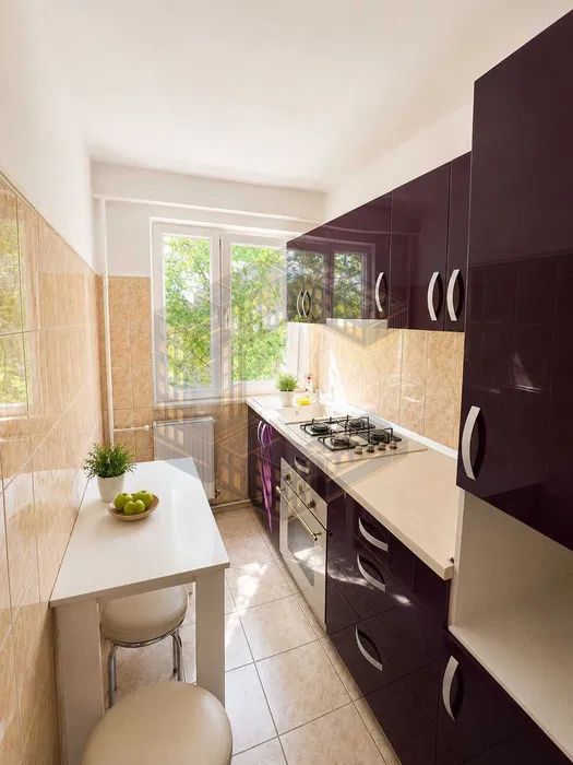 Apartament cu 2 camere, renovat, de vanzare, zona Sagului — fotografia 6