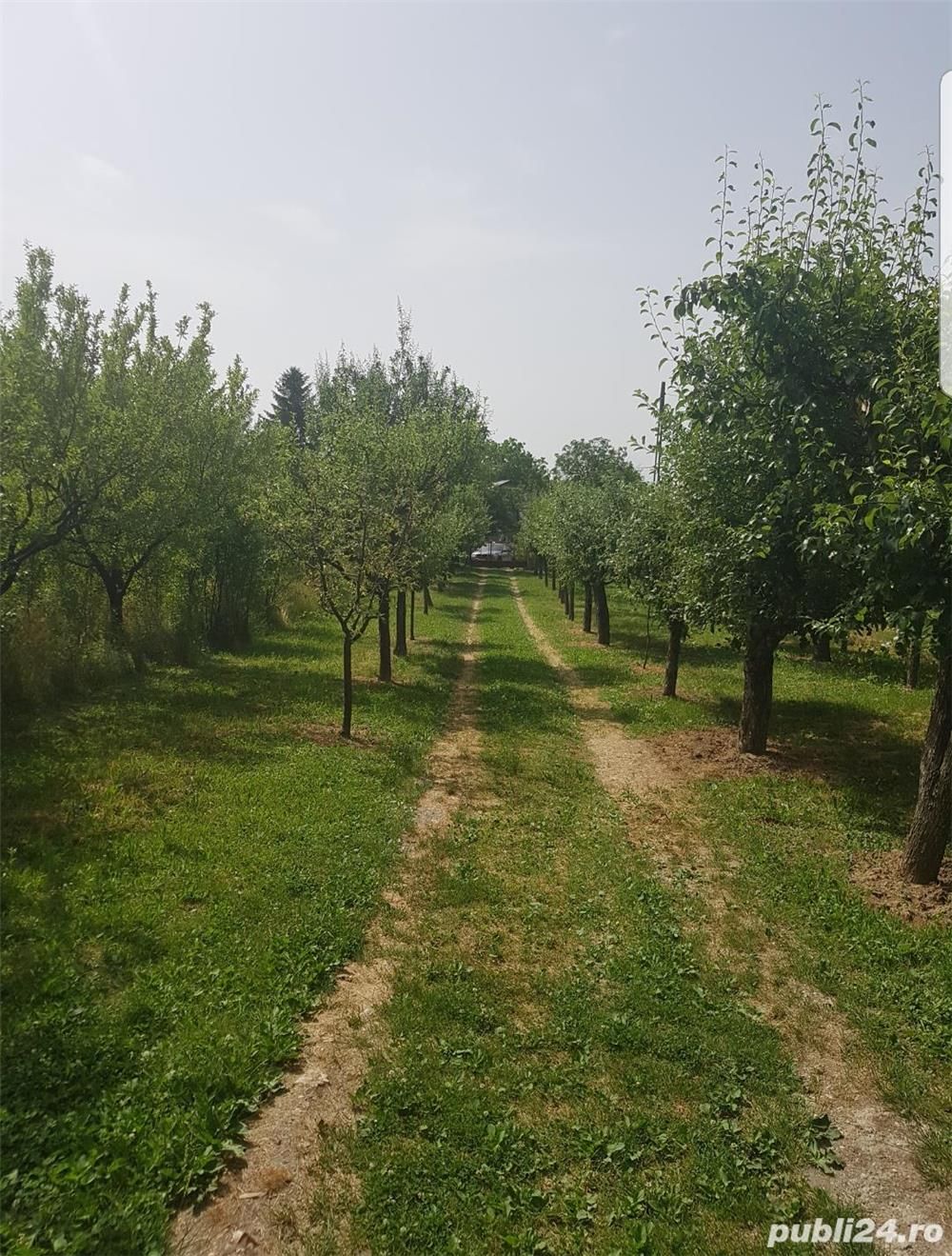 Vand schimb casa, teren Viile Satu Mare cu apartament, casa cu si fara  diferenta — fotografia 3