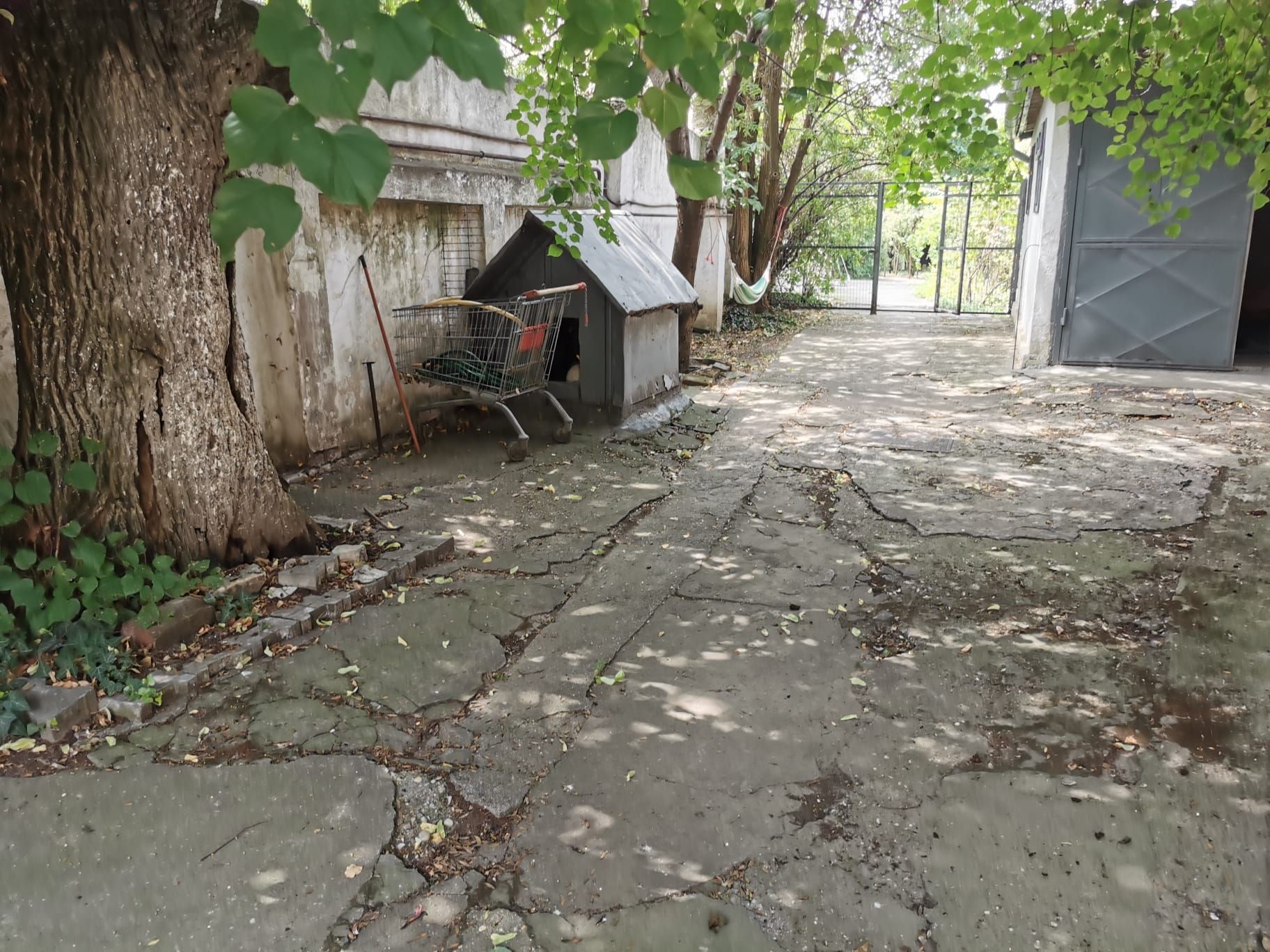 Cel mai ieftin teren central! -  strada Acvila nr 16.  -13 Septembrie — fotografia 6