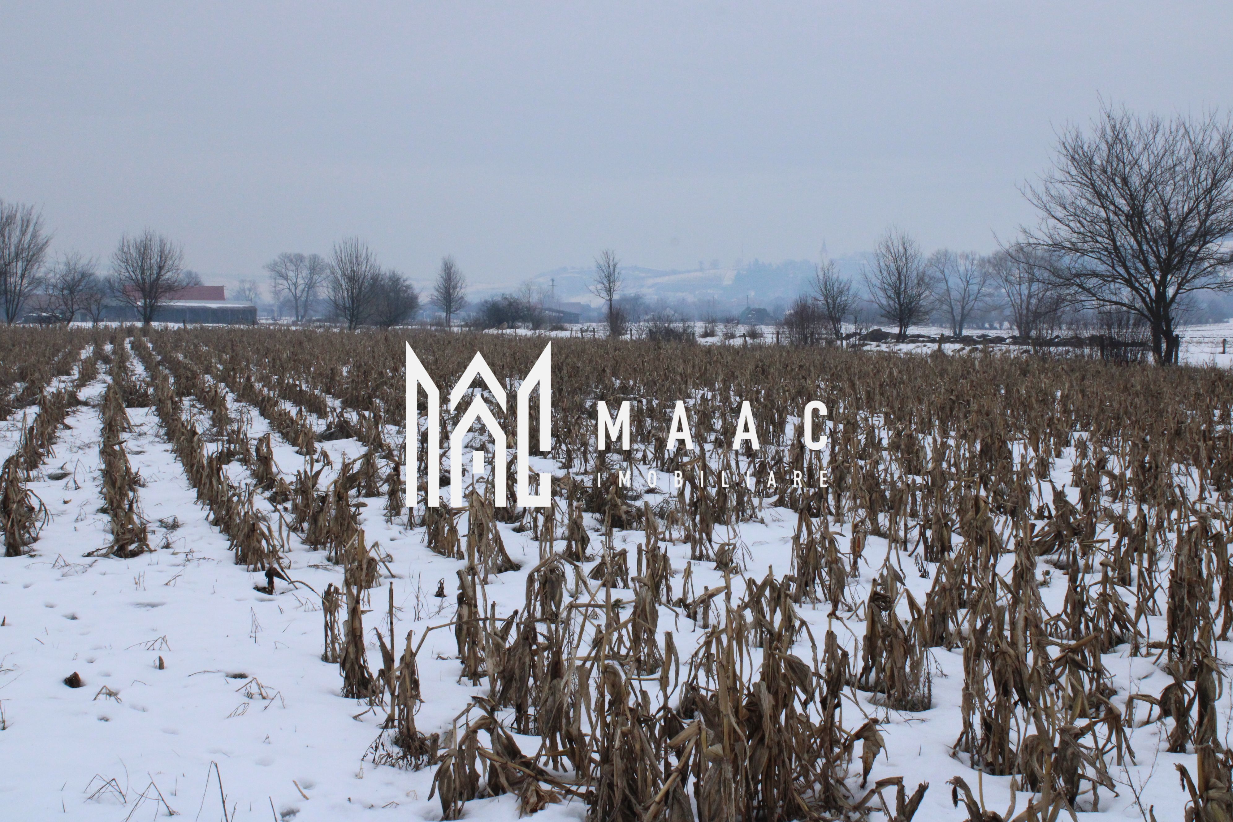 Fermă agricola funcțională de vanzare I Vurpar — fotografia 32