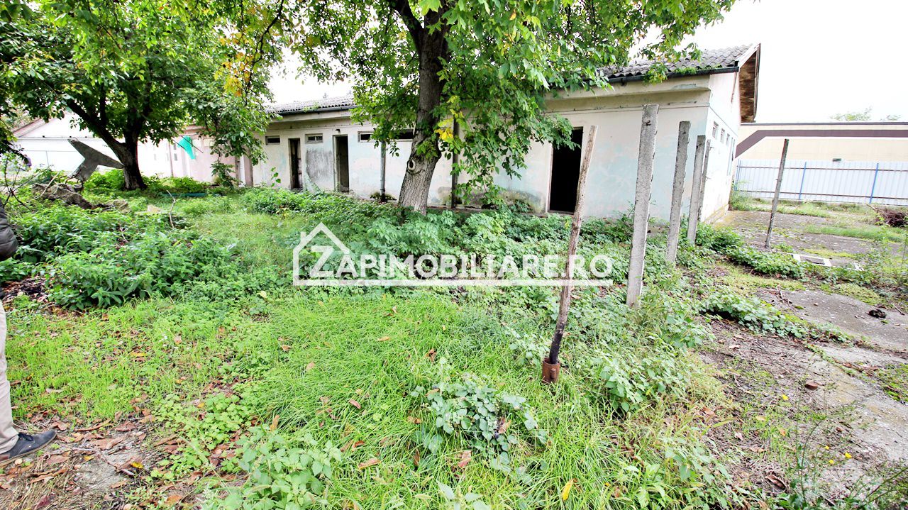 Hală + birouri si spatiu comercial 700 mp. teren 2.500 mp — fotografia 3