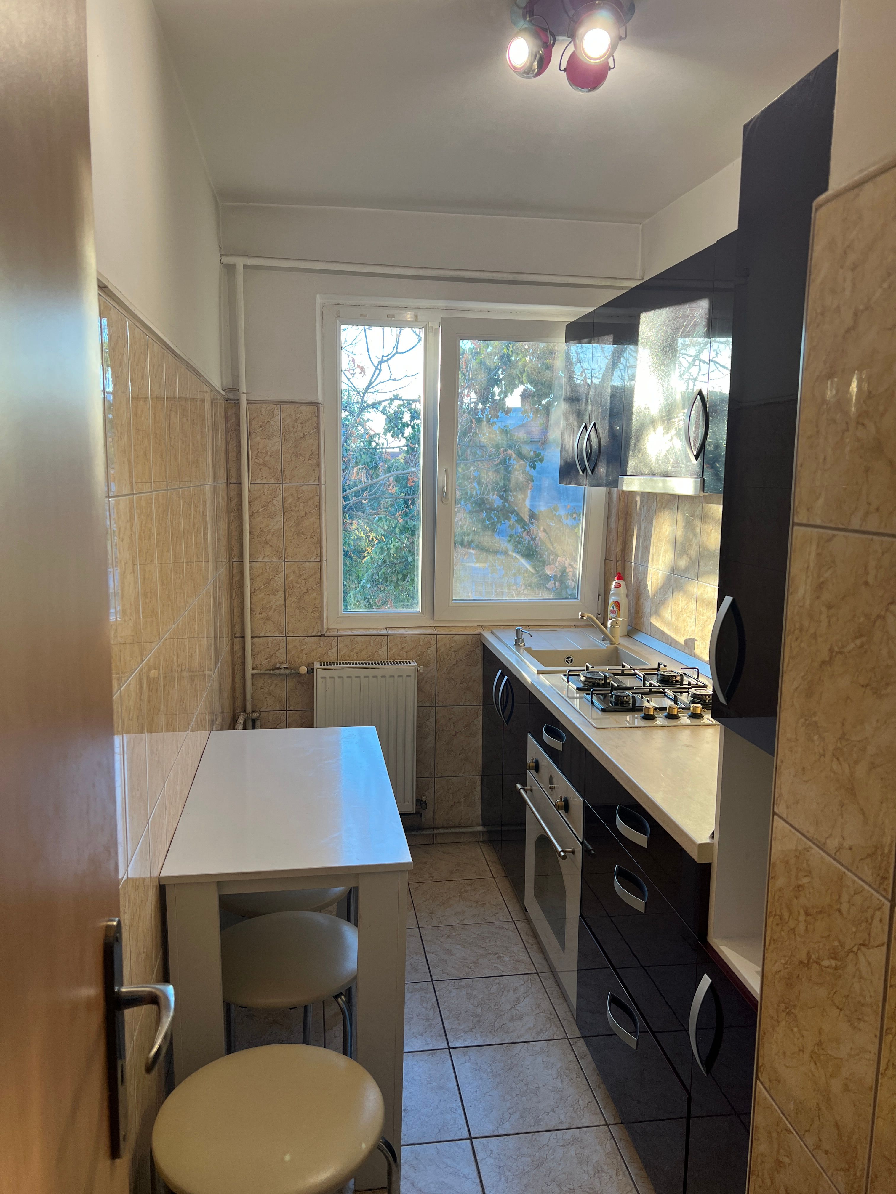 Apartament 2 camere | 43 mp | Mobilat și utilat | Zona Șagului – Timiș — fotografia 3