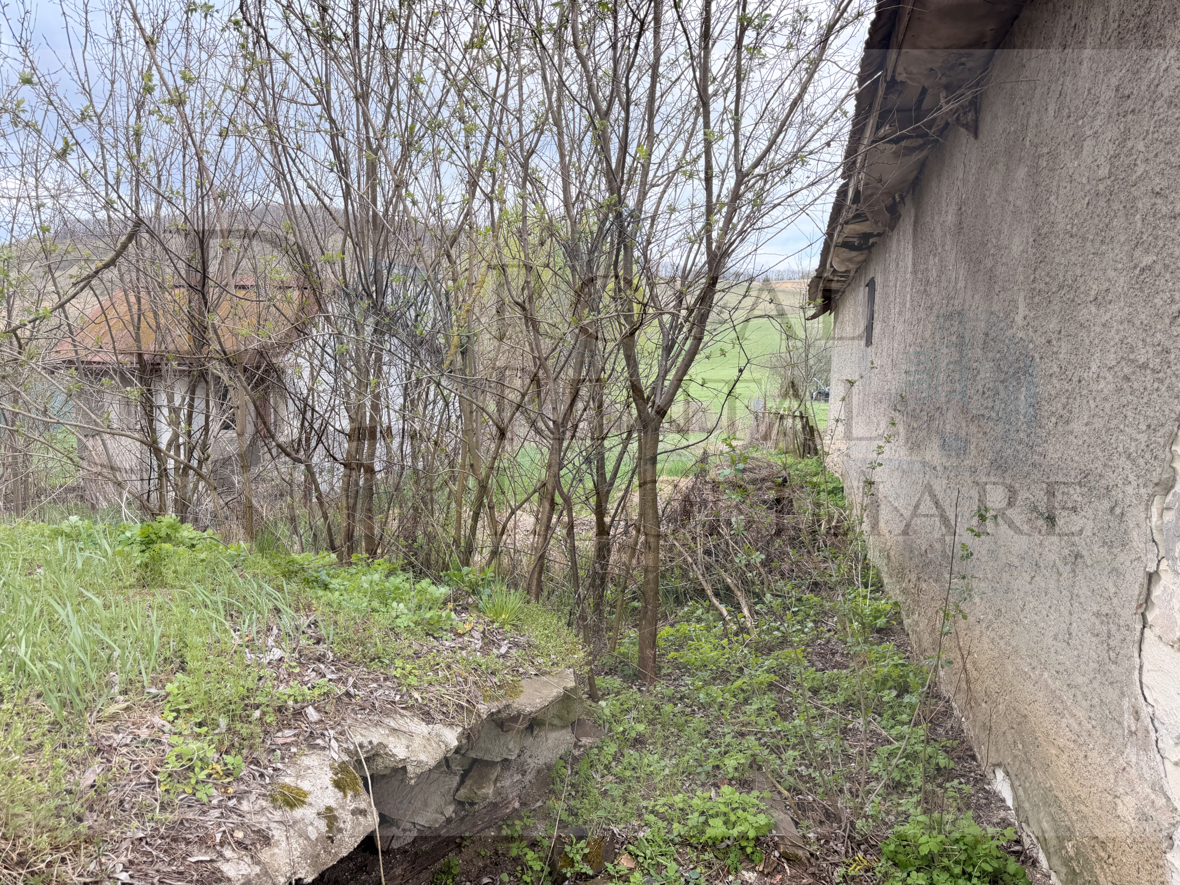 Comision 0! | Casă + teren generos | 2600 m² | Oportunitate unică - Faureni — fotografia 32