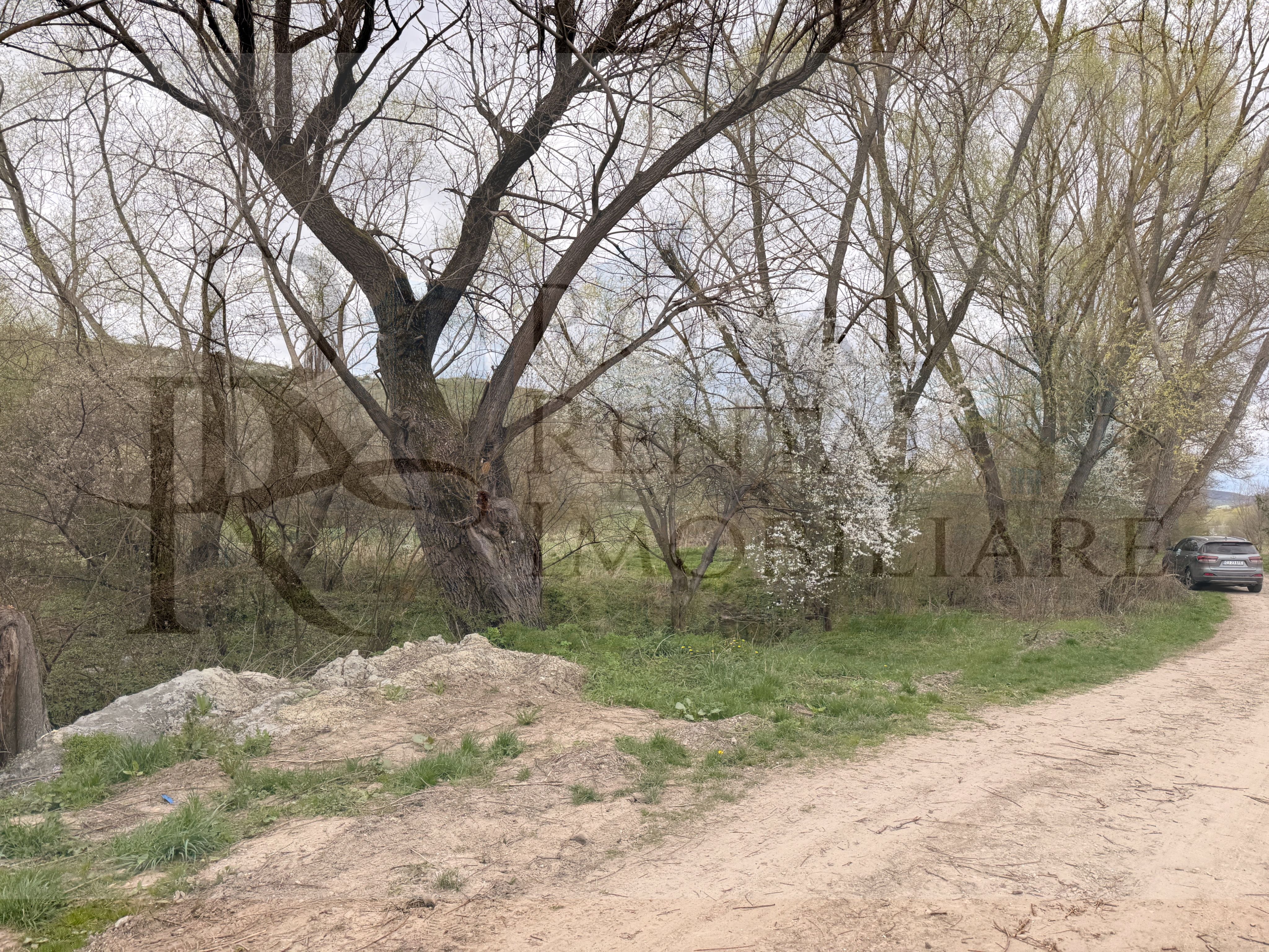 Comision 0! | Casă + teren generos | 2600 m² | Oportunitate unică - Faureni — fotografia 35