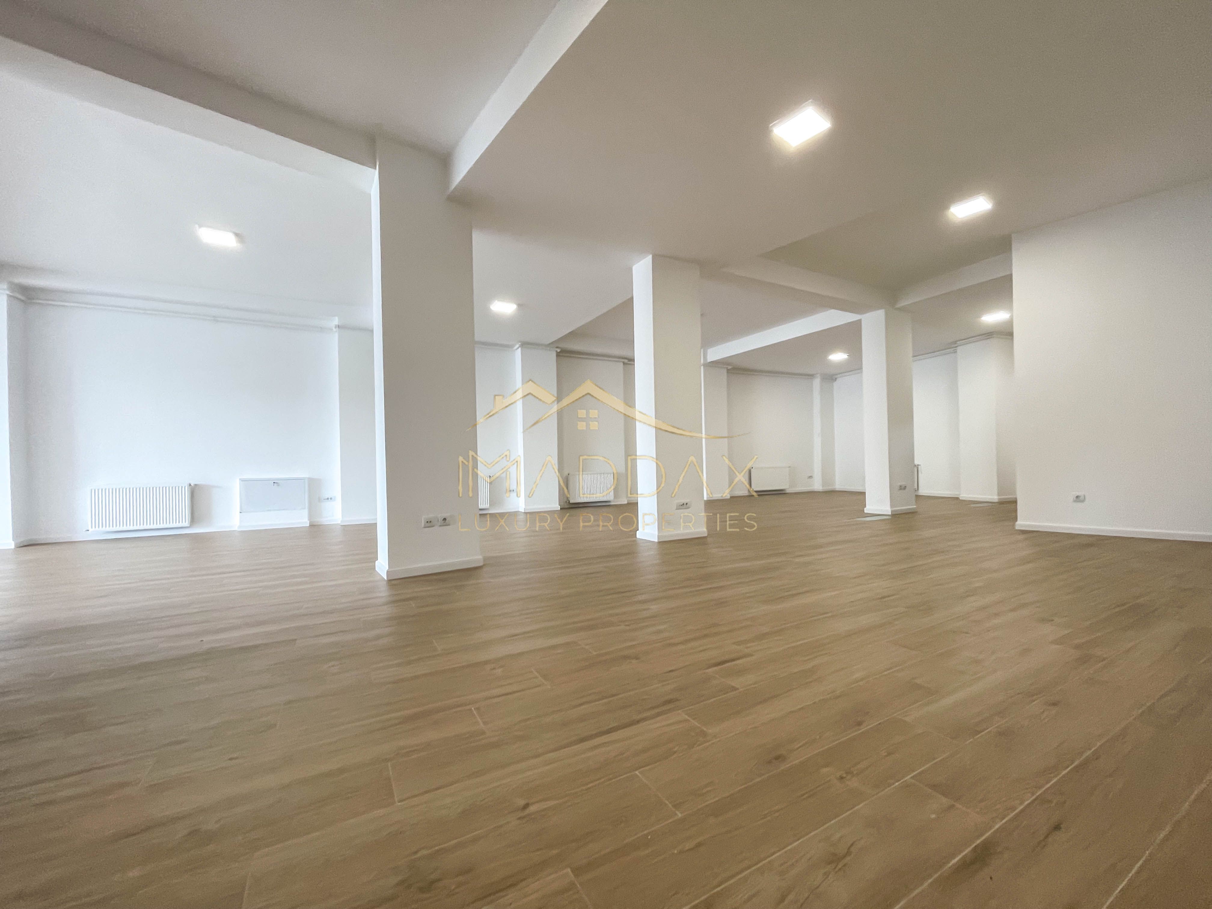 Spatiu comercial S+P // *362mp* // Victoriei — fotografia 40