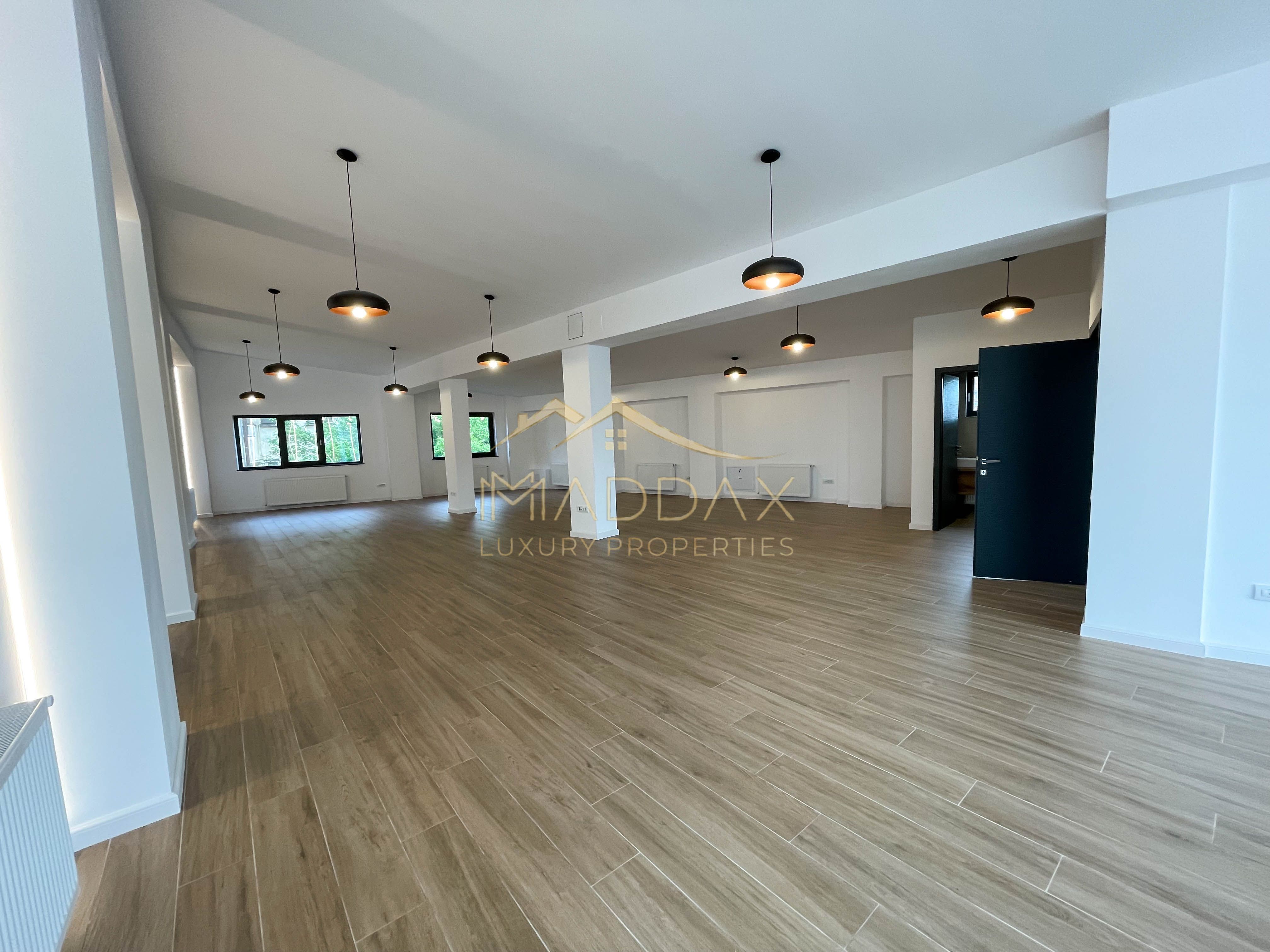 Spatiu comercial S+P // *362mp* // Victoriei — fotografia 9