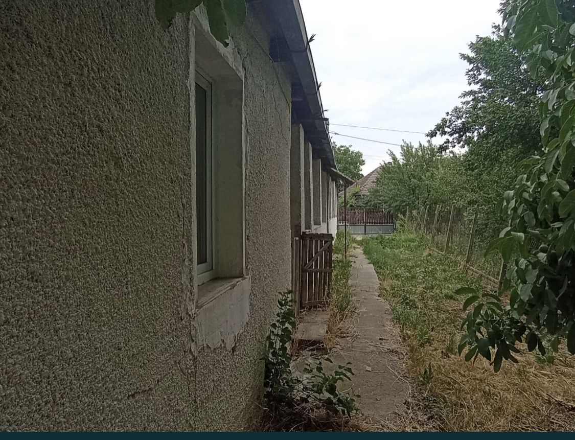 Casa cu teren de vanzare-Satmarel, Satu Mare — fotografia 2