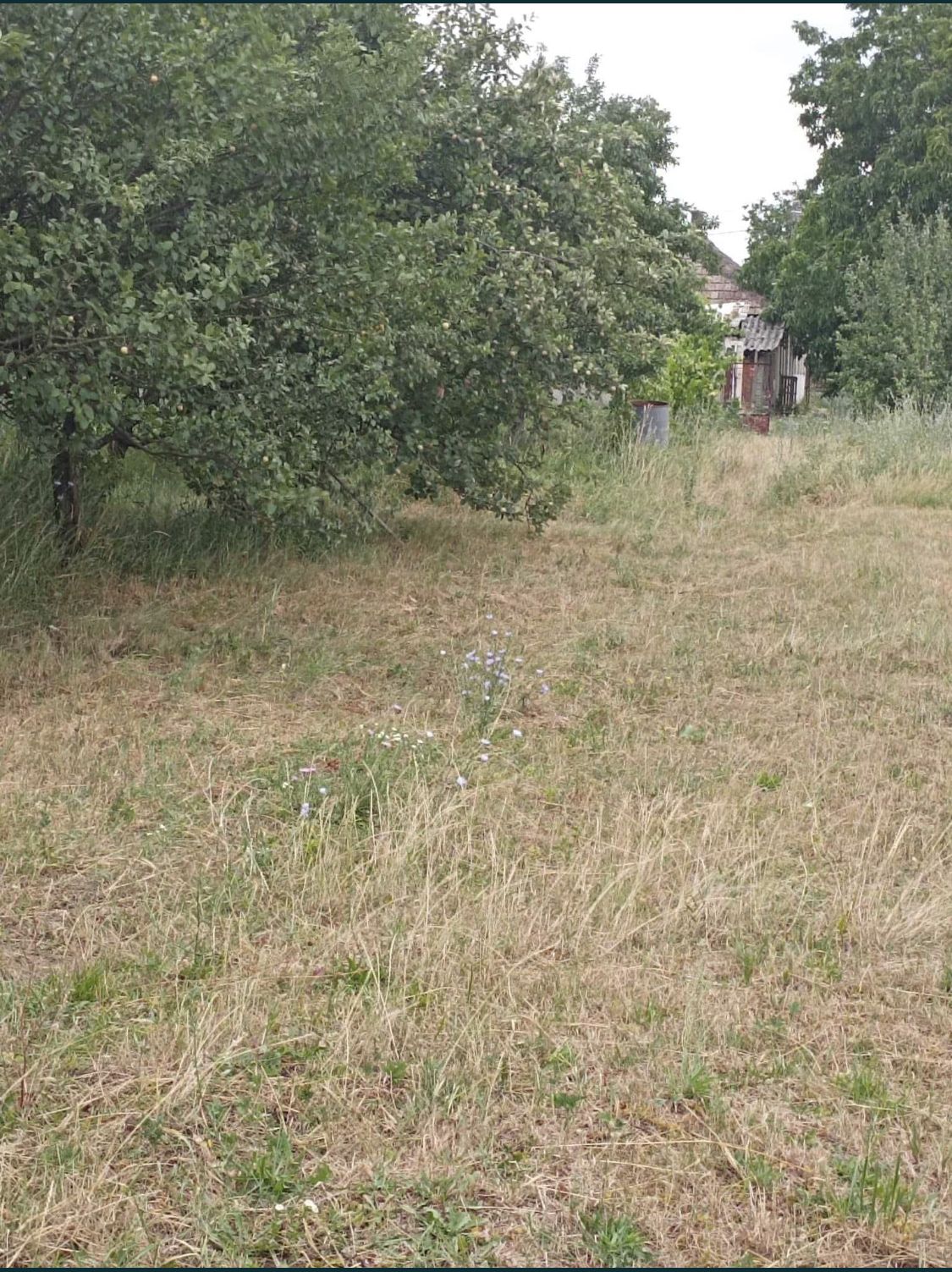 Casa cu teren de vanzare-Satmarel, Satu Mare — fotografia 6