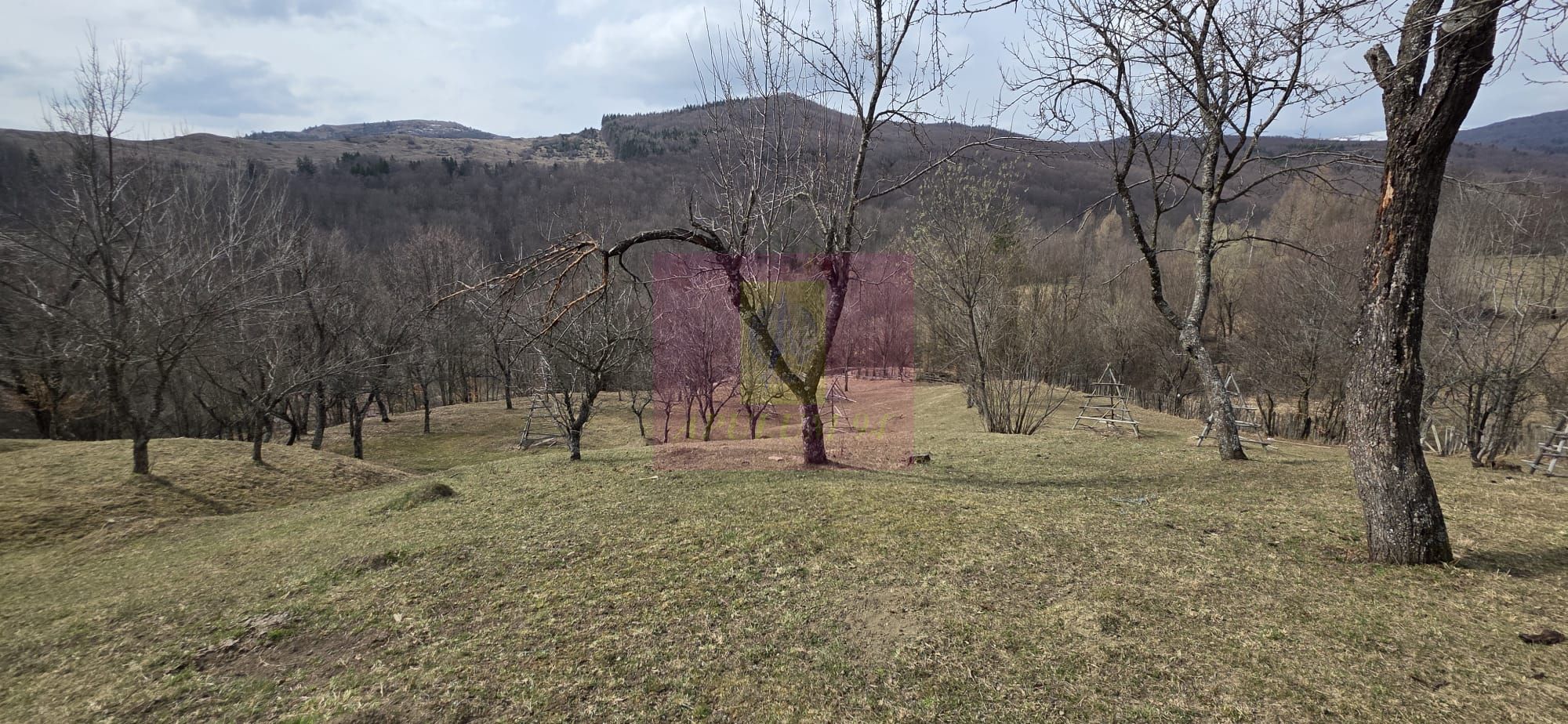 Teren intravilan 2200 mp de vanzare in Valea Doftanei — fotografia 3