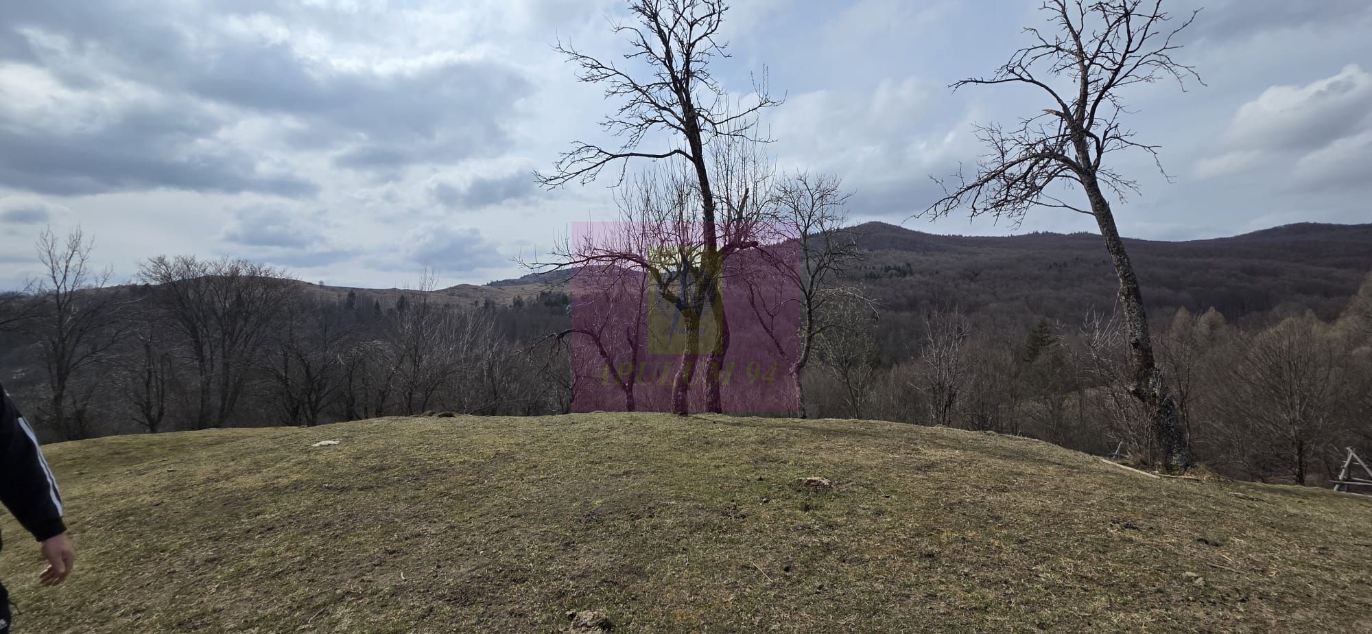 Teren intravilan 2200 mp de vanzare in Valea Doftanei — fotografia 4