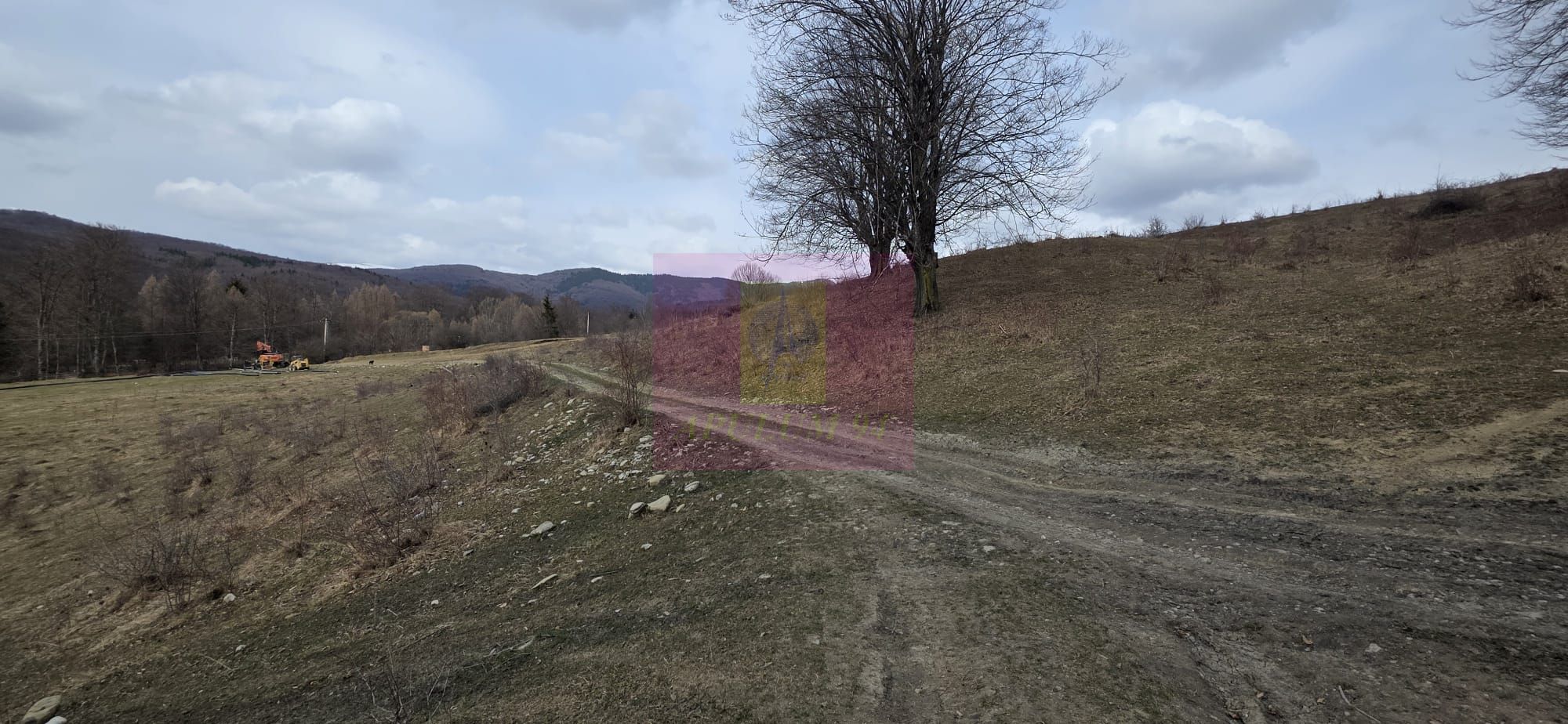 Teren intravilan 2200 mp de vanzare in Valea Doftanei — fotografia 5