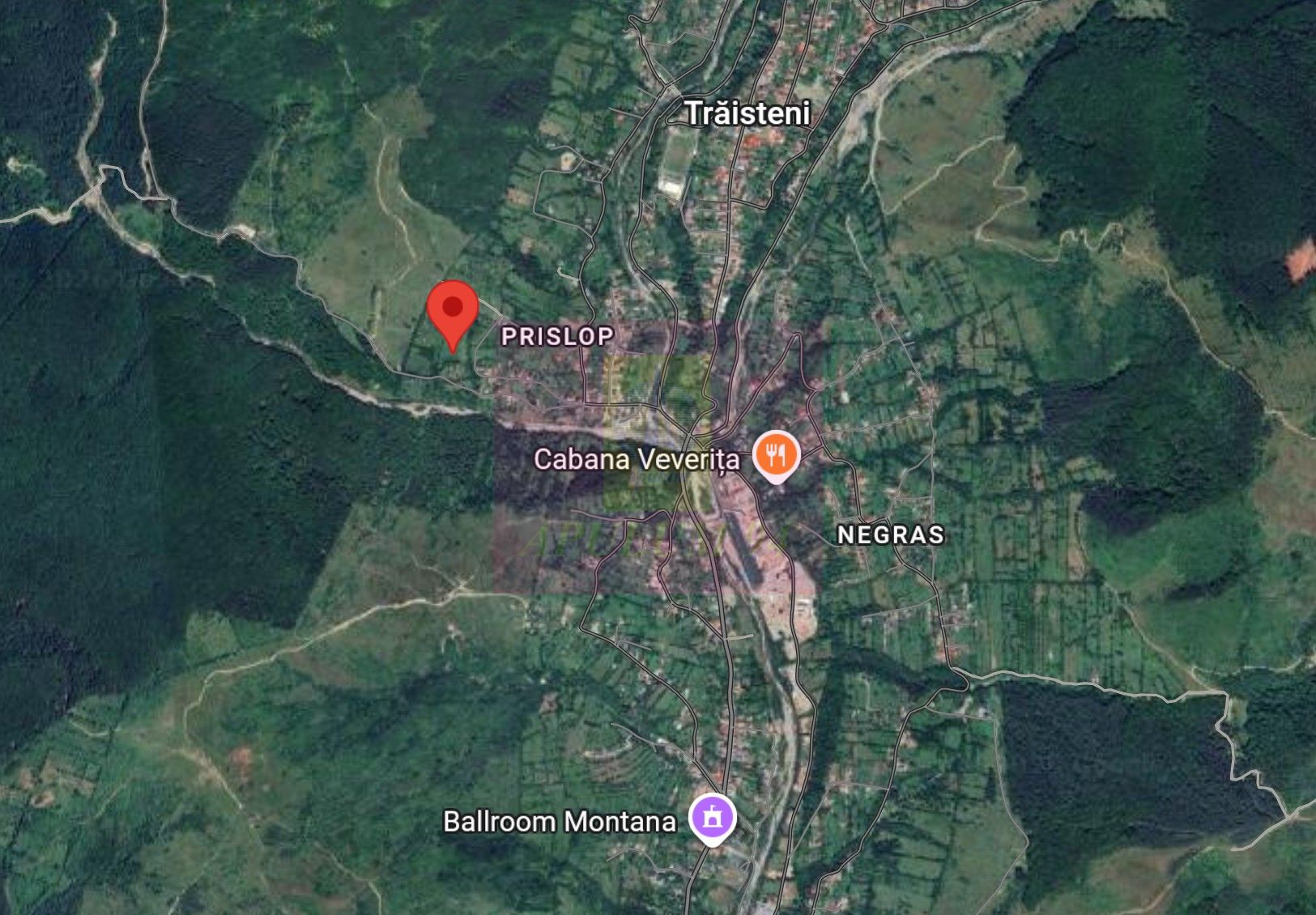 Teren intravilan 2200 mp de vanzare in Valea Doftanei — fotografia 6