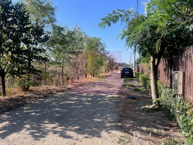 Teren Cornetu Strada Magnoliei- Pinului. — fotografia 5