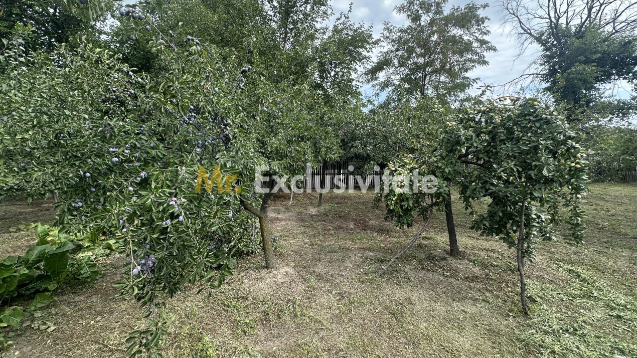 Casa traditionala+teren 1172mp intravilan in Lunca Corbului, Arges — fotografia 8