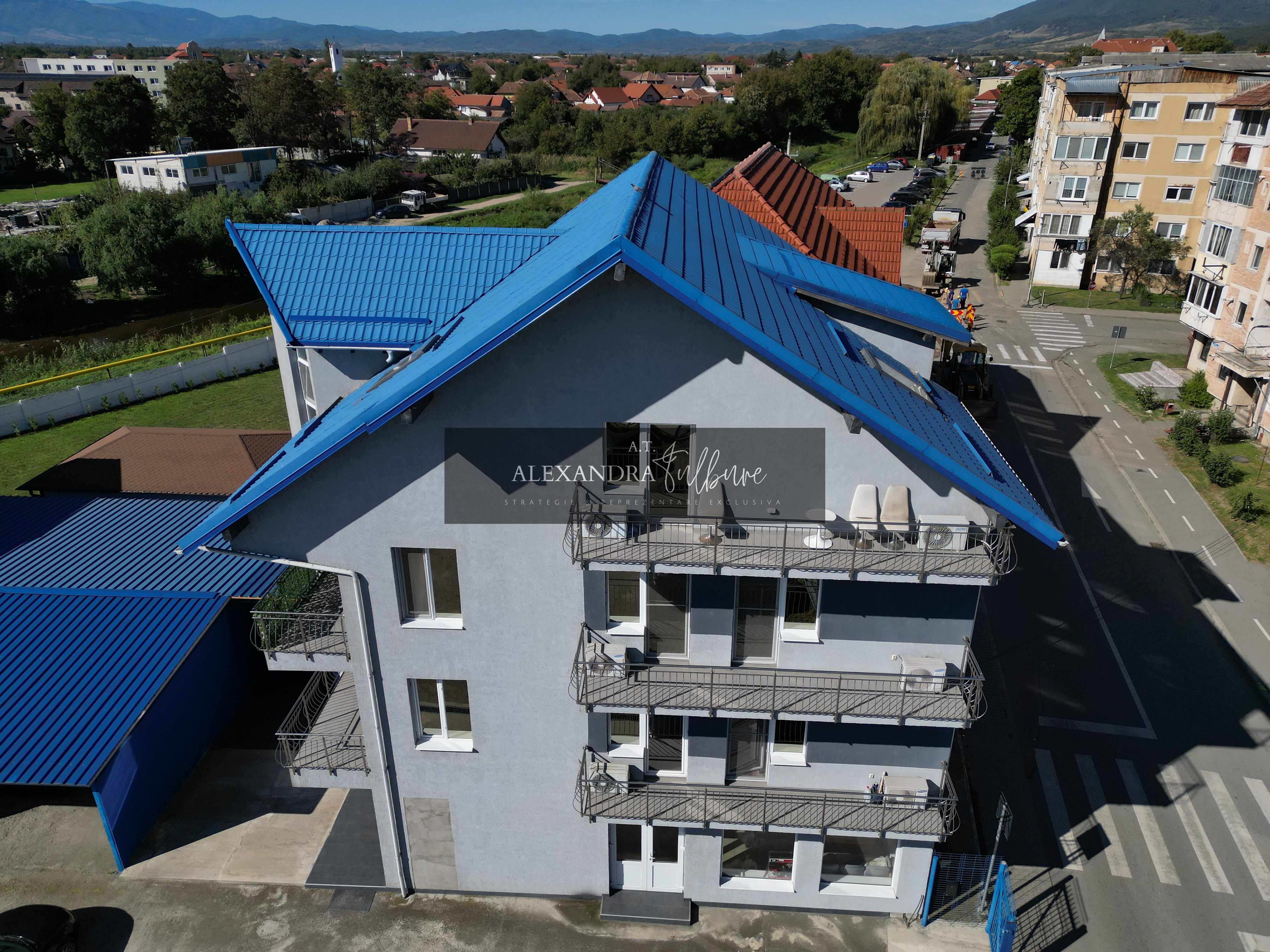 Oportunitate strategică de dezvoltare în Hațeg 3.079 mp — fotografia 4