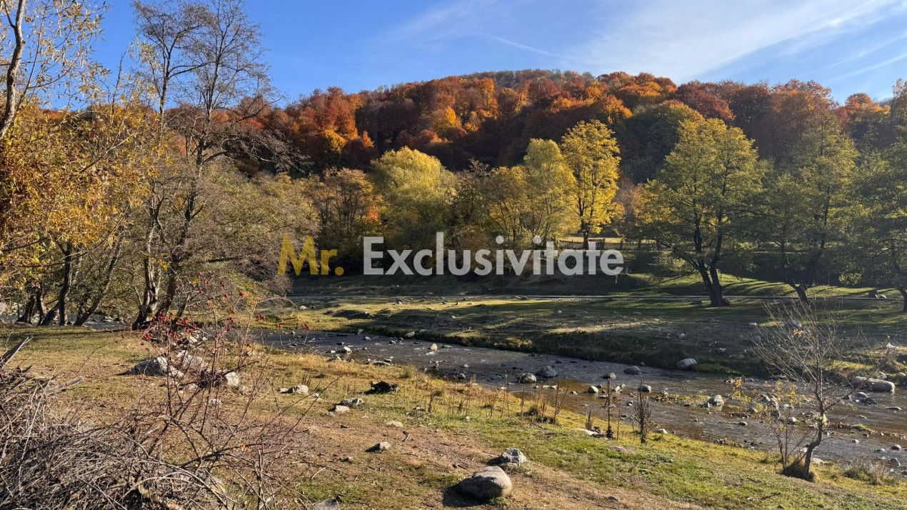 Teren Salatrucu - acces din strada principala (30 min Curtea de Arges) — fotografia 3