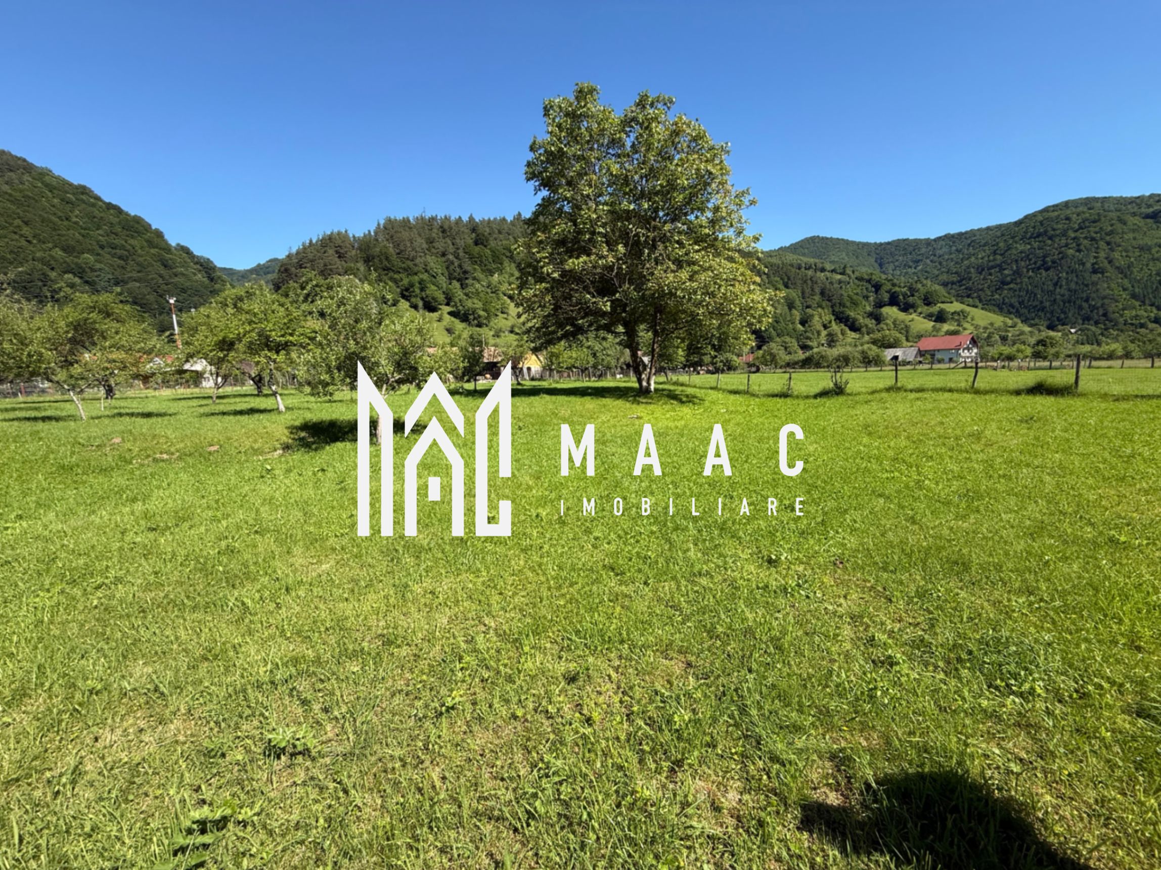 Teren Intravilan | 3050 Mp | Ieșire la Râu | Râul Sadului — fotografia 2