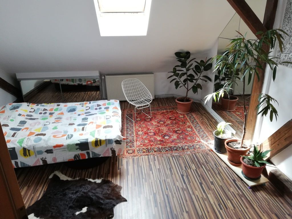 Apartament 4 camere | 175 mp | Bulevardul Victor Babeș | Ideal pentru — fotografia 3