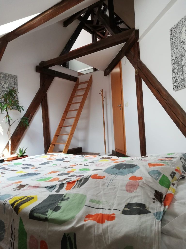 Apartament 4 camere | 175 mp | Bulevardul Victor Babeș | Ideal pentru — fotografia 4