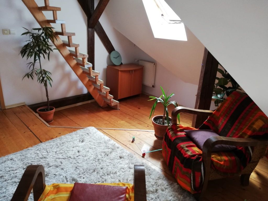 Apartament 4 camere | 175 mp | Bulevardul Victor Babeș | Ideal pentru — fotografia 5
