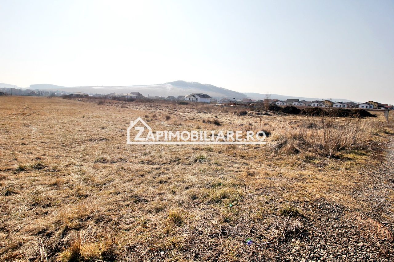 Teren  Intravilan 2.075 mp. 59.euro mp.Sangeorgiu de Mures — fotografia 3