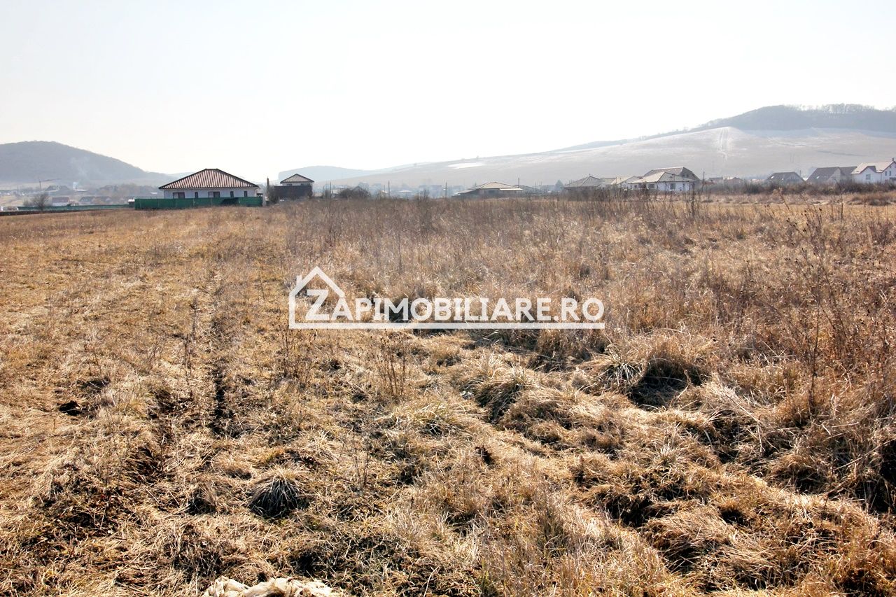 Teren  Intravilan 2.075 mp. 59.euro mp.Sangeorgiu de Mures — fotografia 4