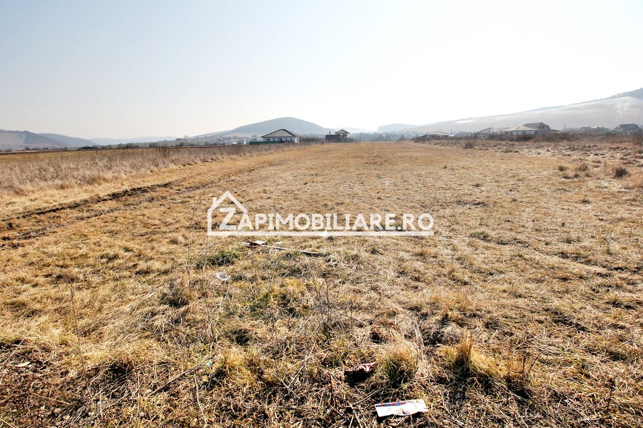 Teren  Intravilan 2.075 mp. 59.euro mp.Sangeorgiu de Mures — fotografia 5