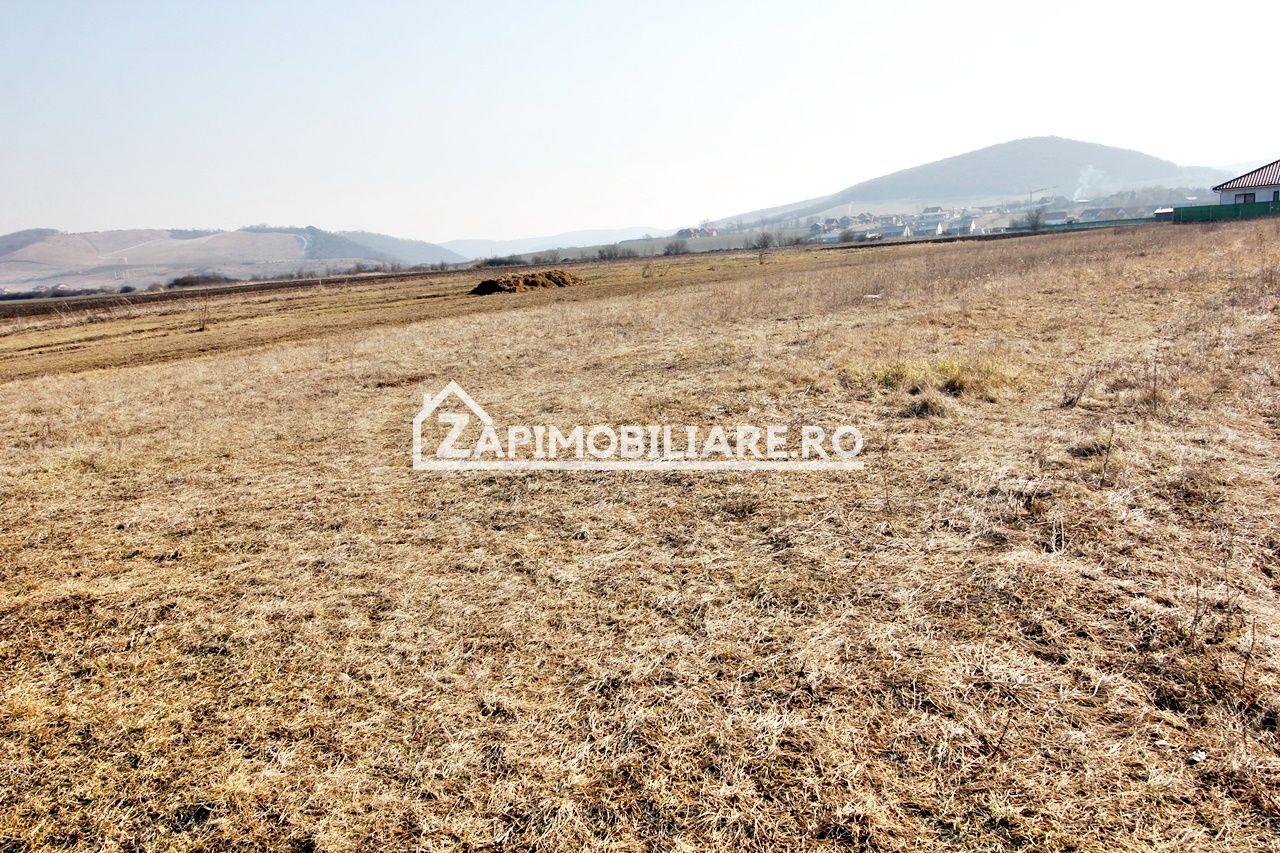 Teren  Intravilan 2.075 mp. 59.euro mp.Sangeorgiu de Mures — fotografia 6
