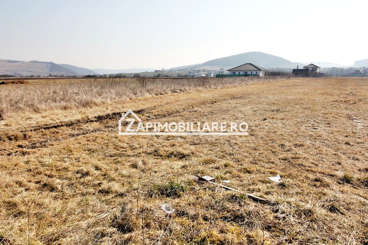 Teren  Intravilan 2.075 mp. 59.euro mp.Sangeorgiu de Mures — fotografia 7