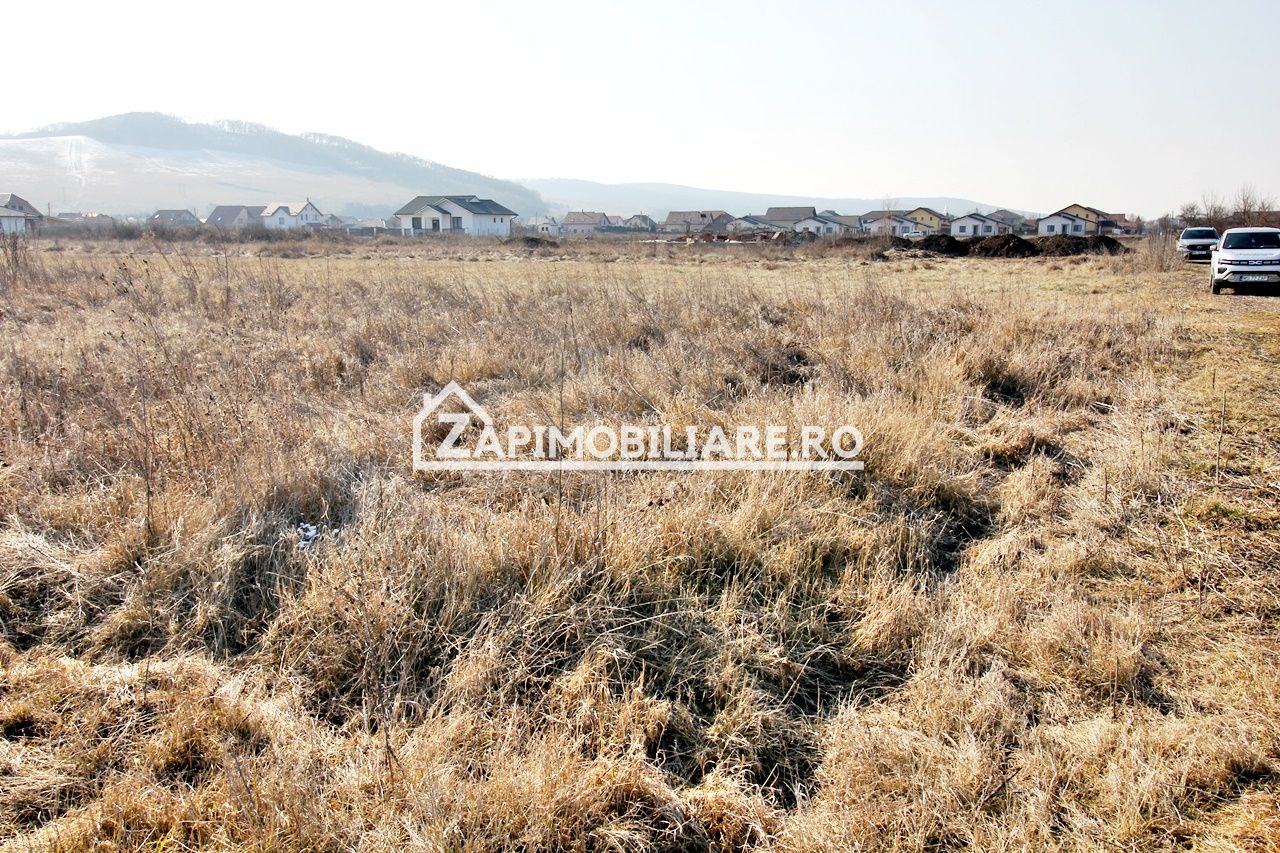 Teren  Intravilan 2.075 mp. 59.euro mp.Sangeorgiu de Mures — fotografia 8