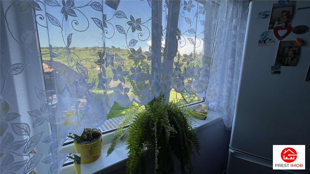 Casă la țară cu 2.500 mp teren și anexe, Ulieș — comuna Râciu — fotografia 19