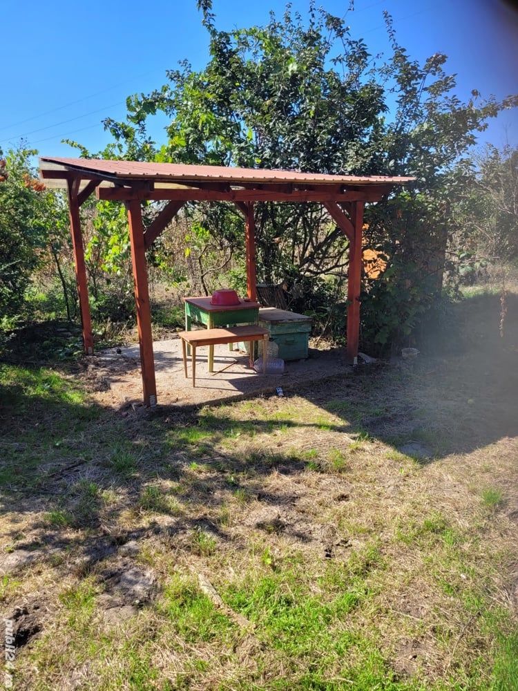BRASADAS vinde casa in Moftinul Mare. — fotografia 6
