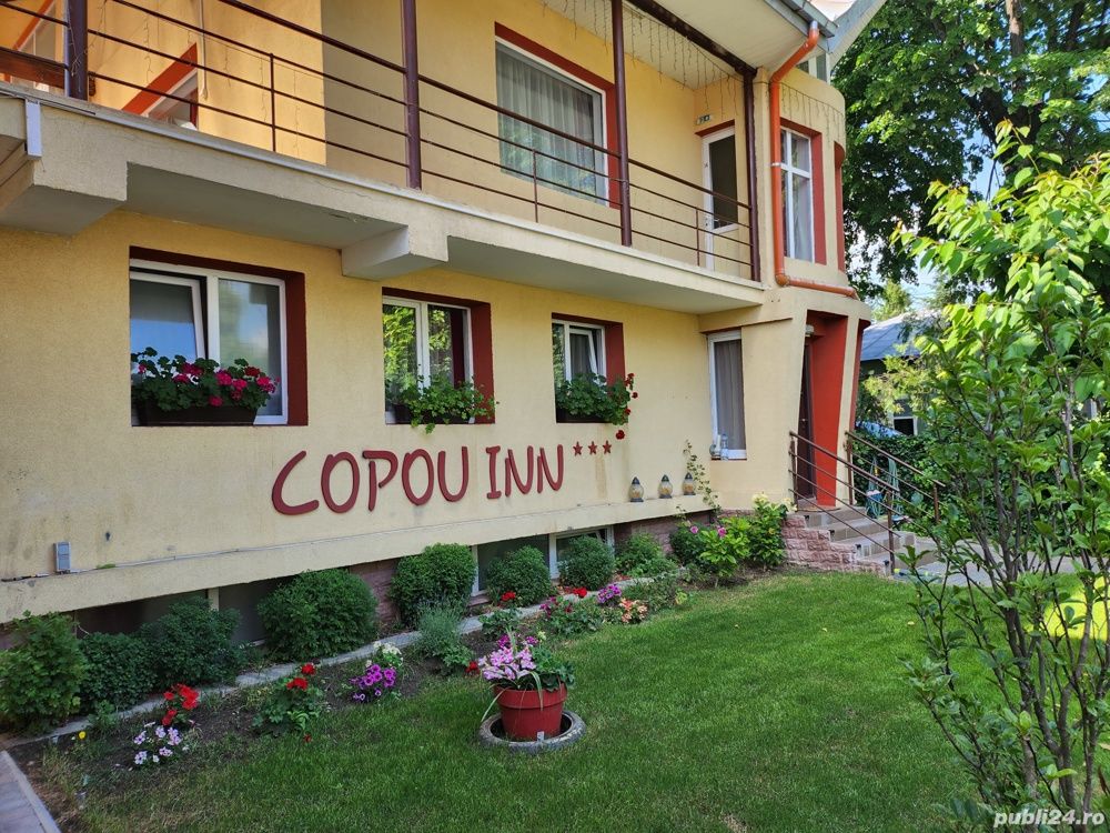 Proprietate de vanzare — fotografia 6