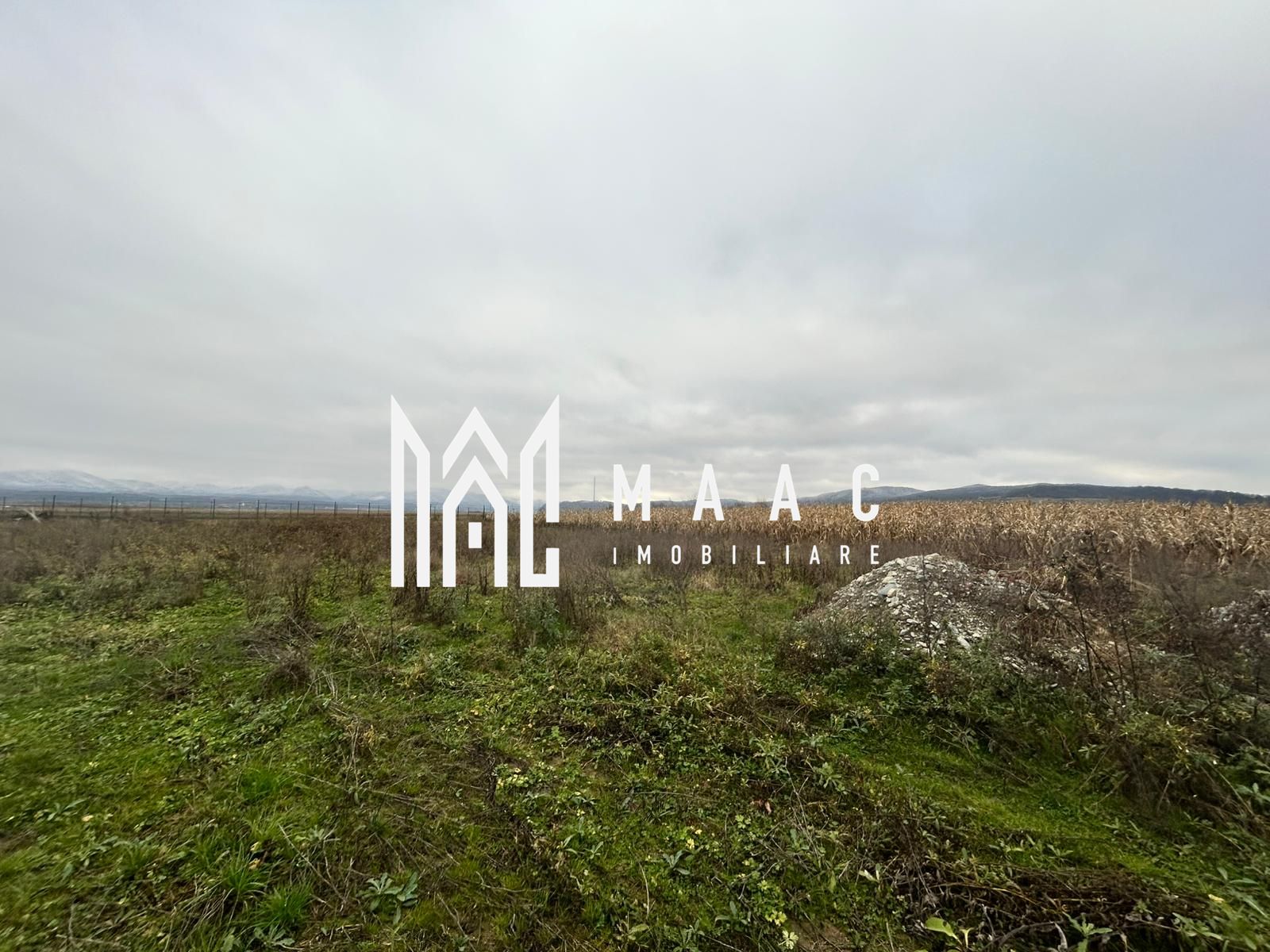 Teren intravilan | 860 mp | Deschidere 16 m | Priveliște montană | Bradu — fotografia 4