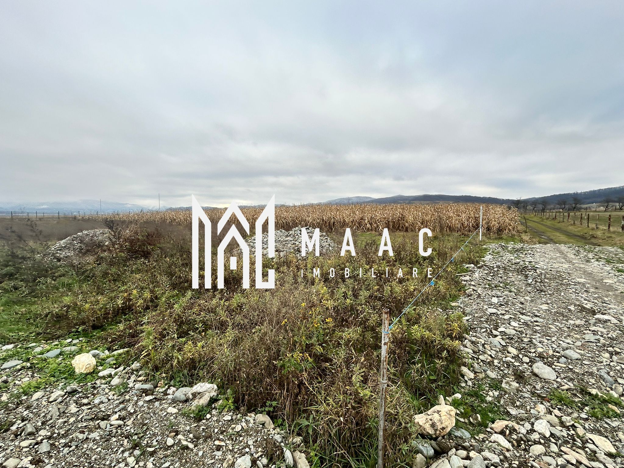 Teren intravilan | 860 mp | Deschidere 16 m | Priveliște montană | Bradu — fotografia 6